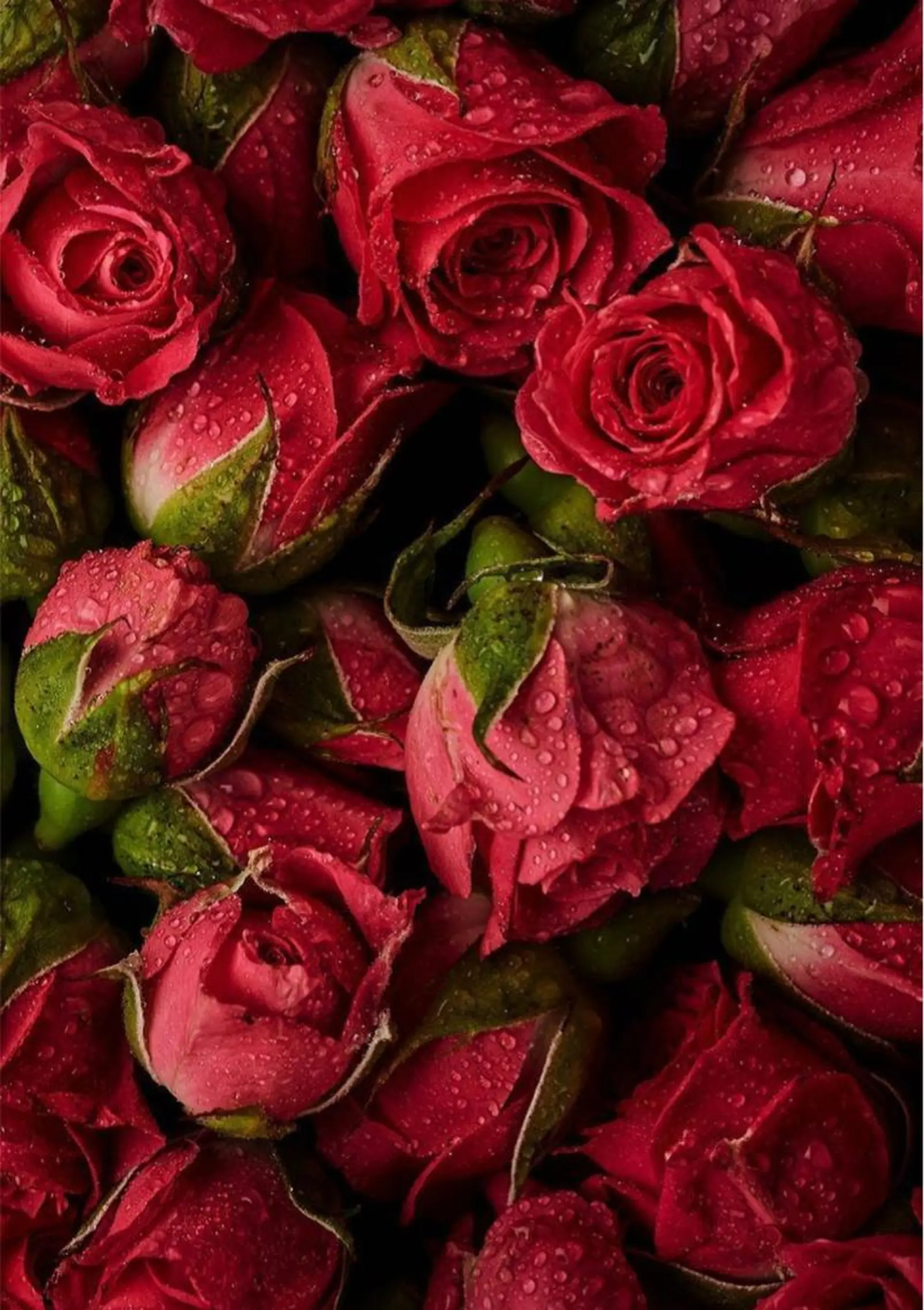 Bless hair &spa所属・🫧縮毛矯正／カラー ／bless松浦🫧のヘアスタイル