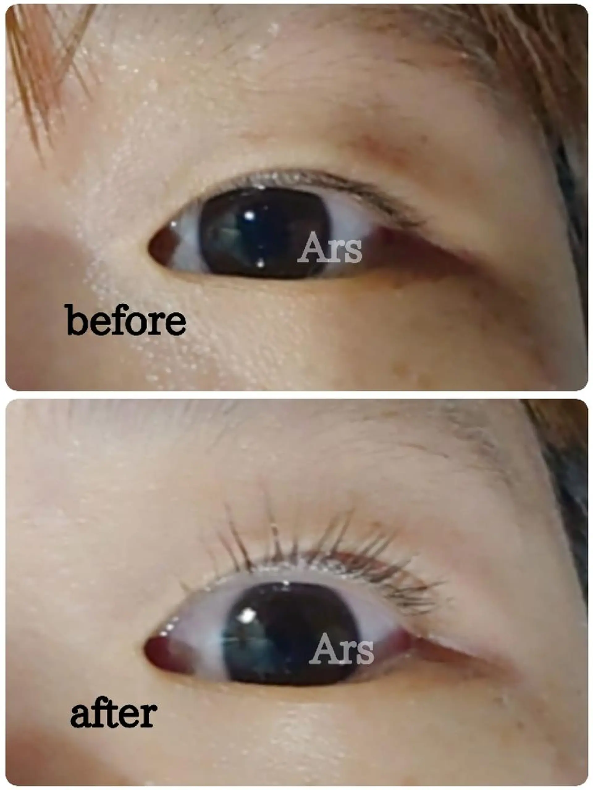 マツエク・マツパ アイリッドアップパーマ Ars (アルス)所属・Ars (アルス)のマツエク・マツパデザイン