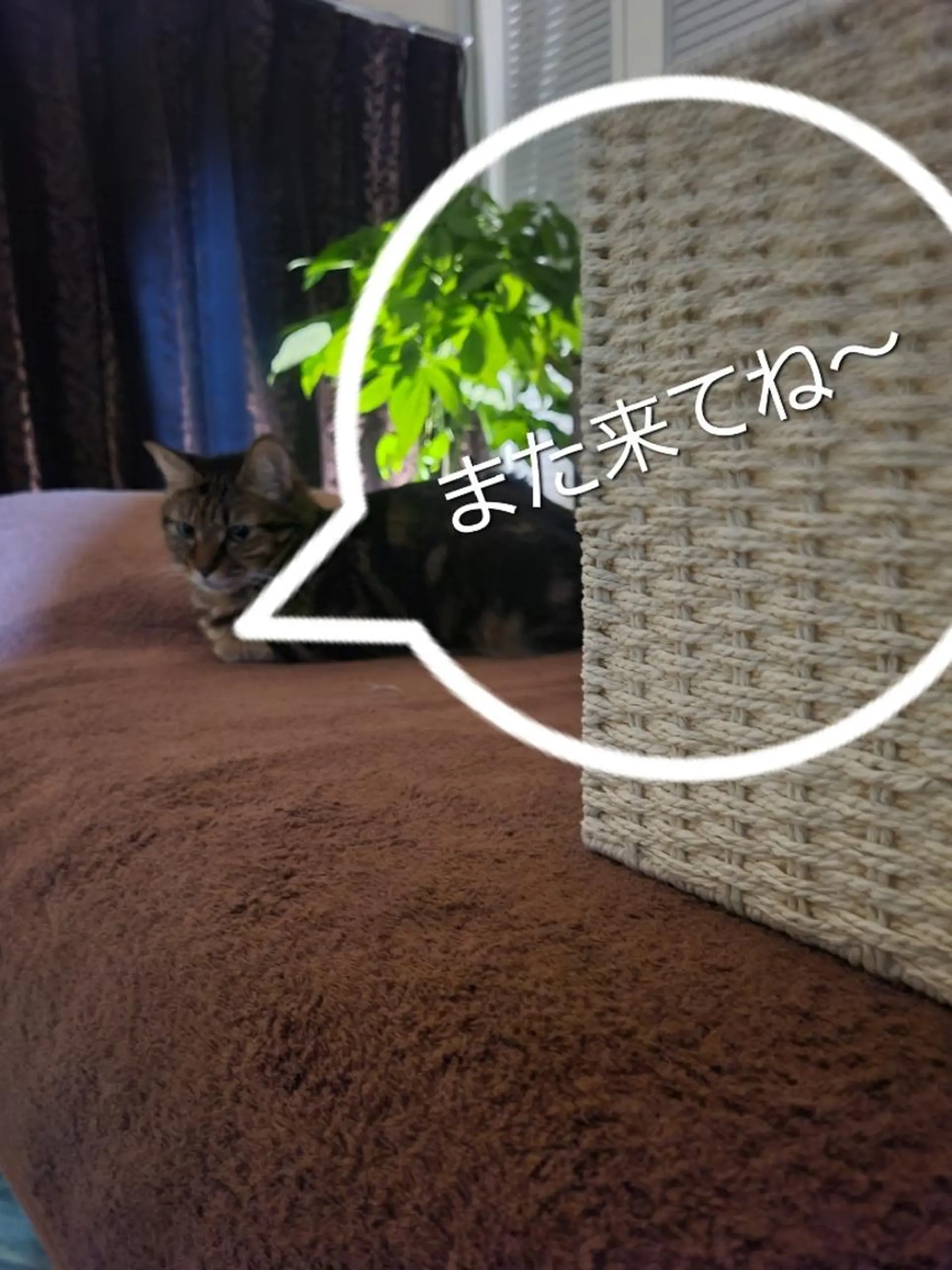 ほぐし家 ヴァティーのエステ・リラクイメージ