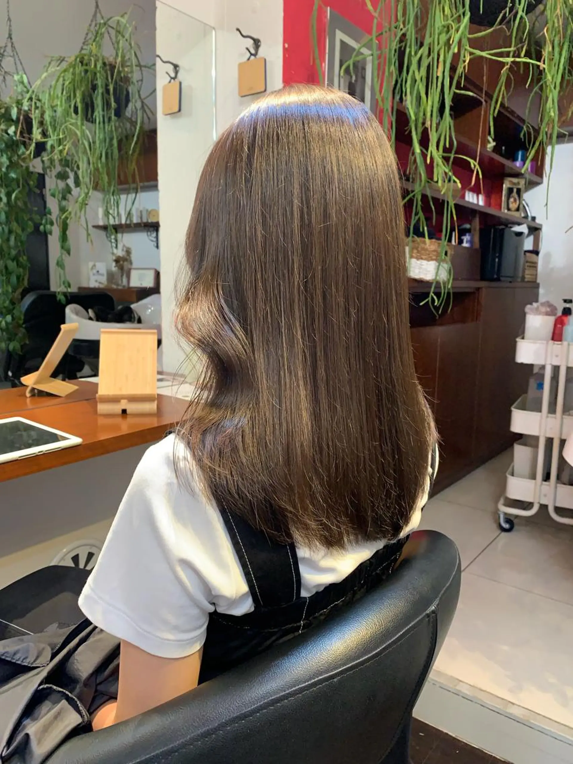 ミディアム カラー アッシュ アッシュブラウン ブラウンカラー カット ヘアカラー トリートメント ヘッドスパ ヘアセット 柔らかブラウン/顔周 りレイヤー♡ユウシのヘアスタイル