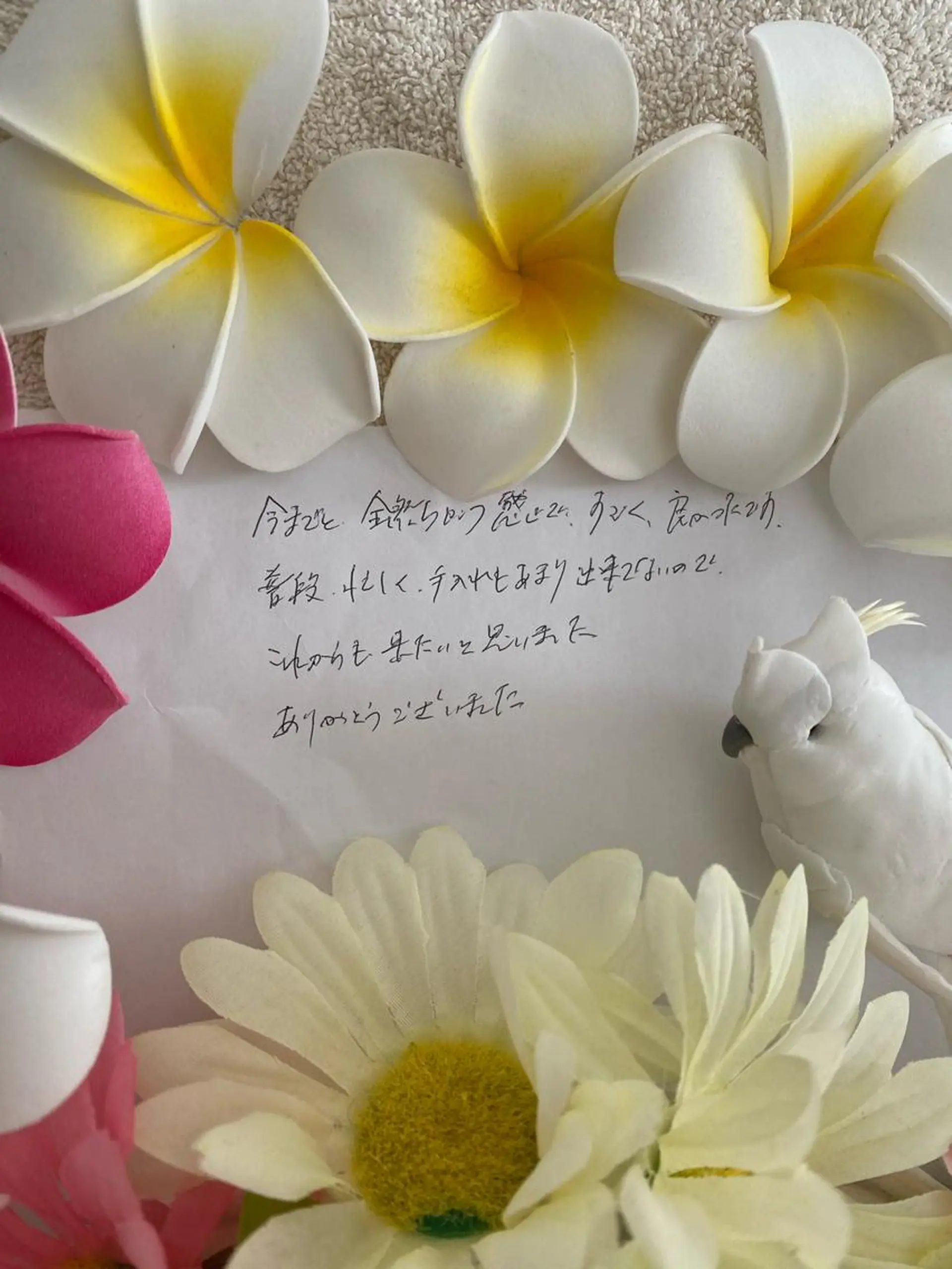 R E O T I A R A（レオティアラ）所属・高屋 昌子のその他イメージ