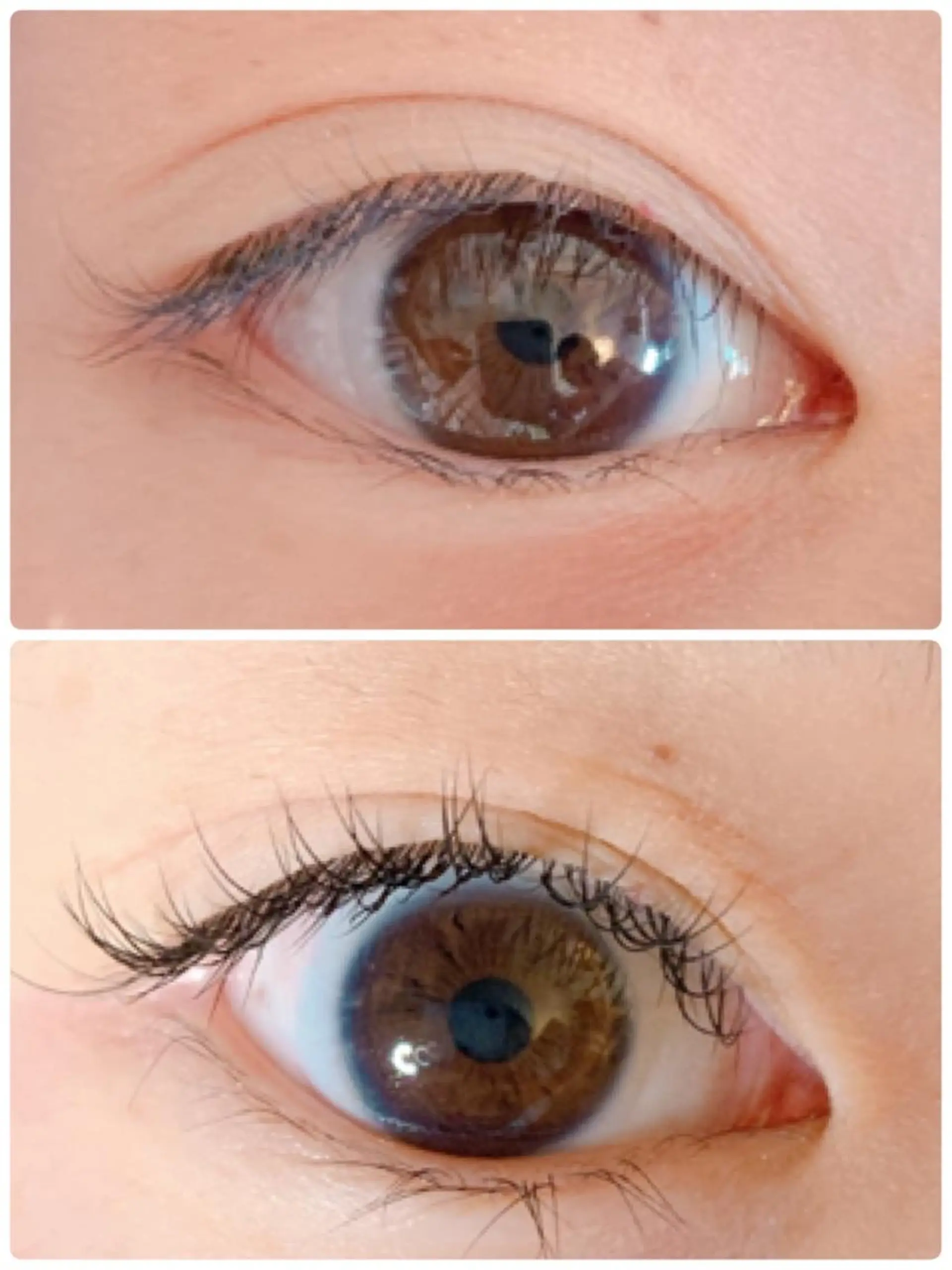 マツエク・マツパ フェイシャルワックス 自然派エステファーノのその他イメージ