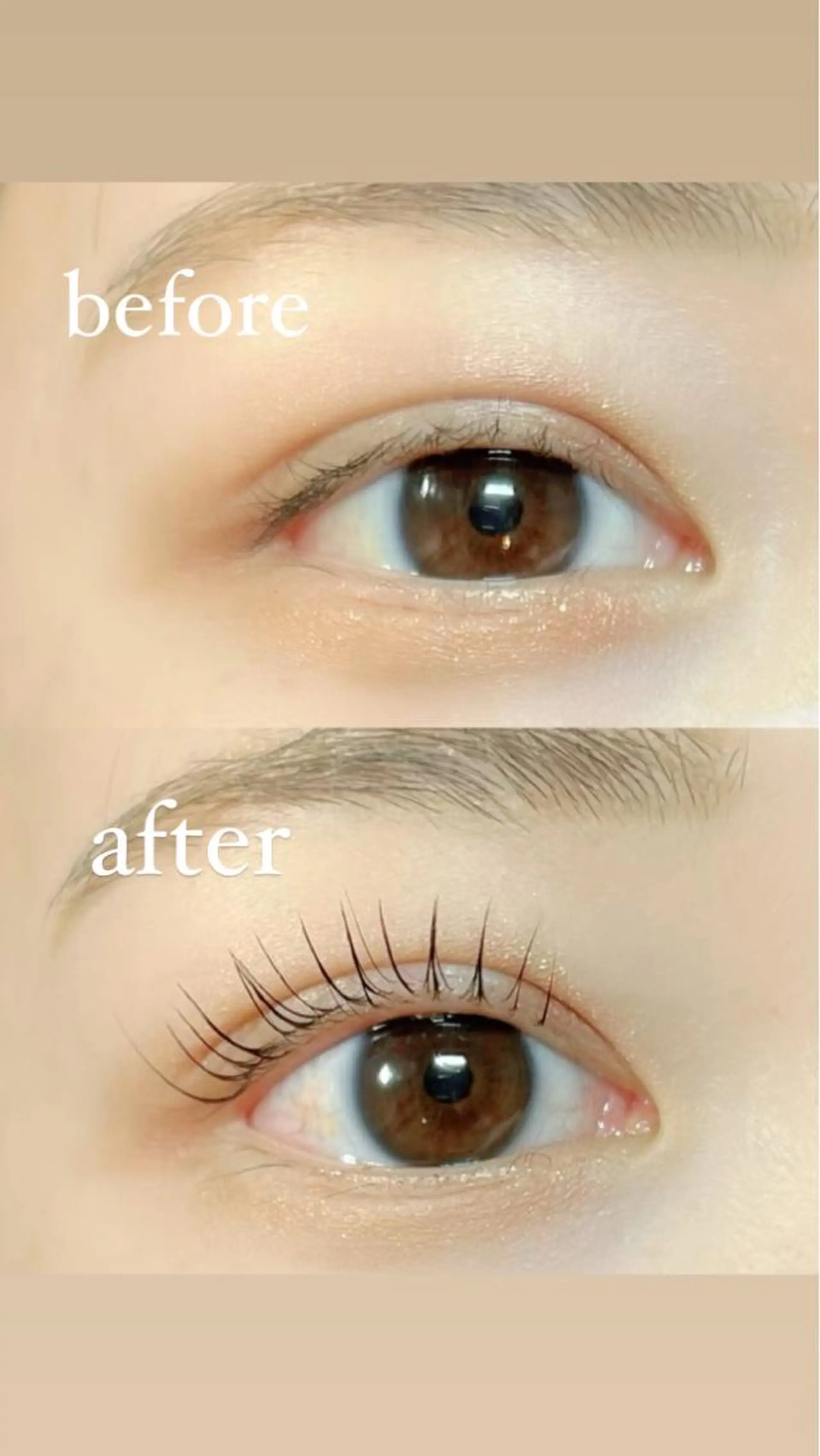 マツエク・マツパ proof lash brow所属・proof lash browの眉毛・アイブロウイメージ