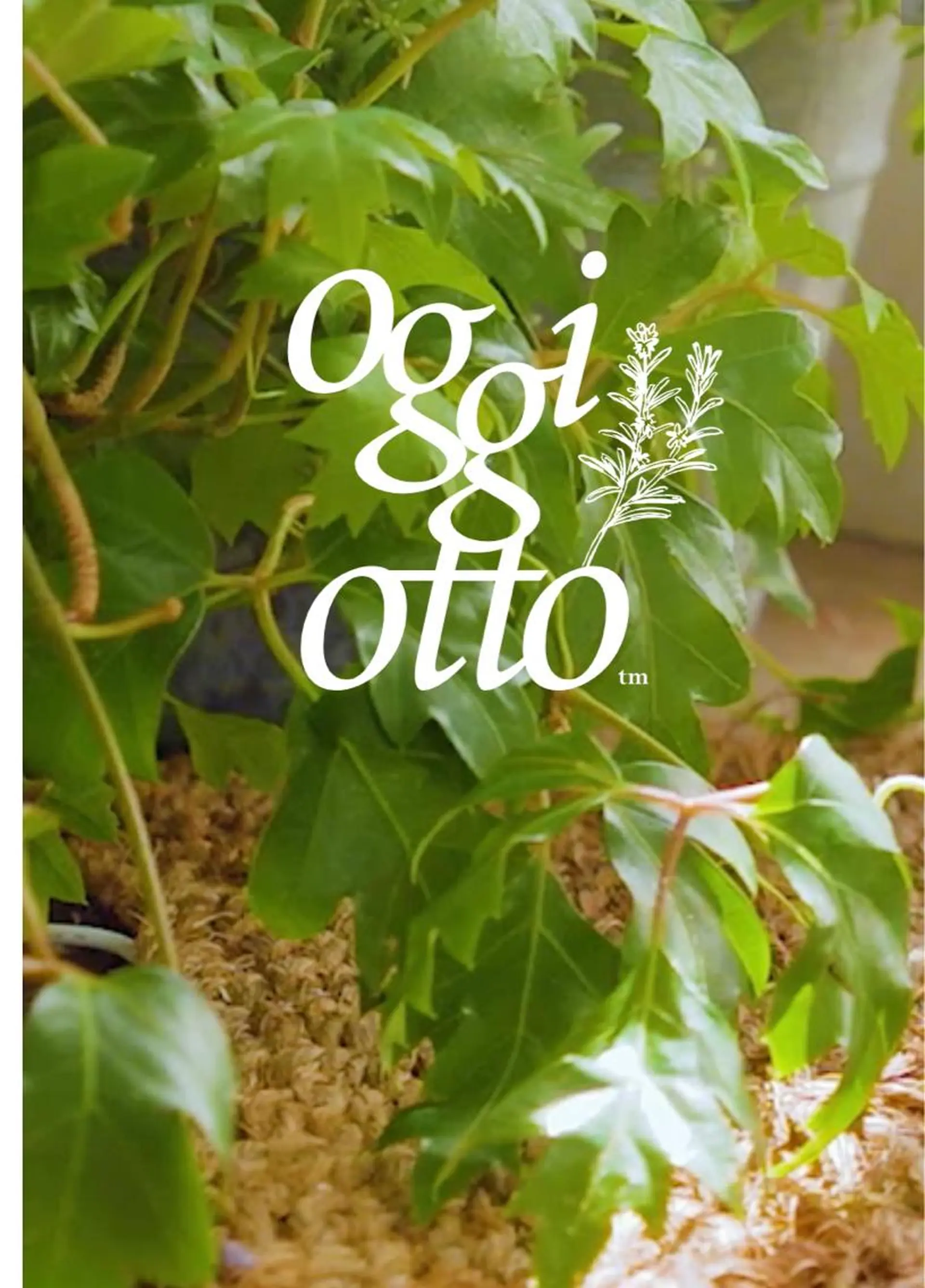 リルウヘアー 天王寺のヘアスタイル