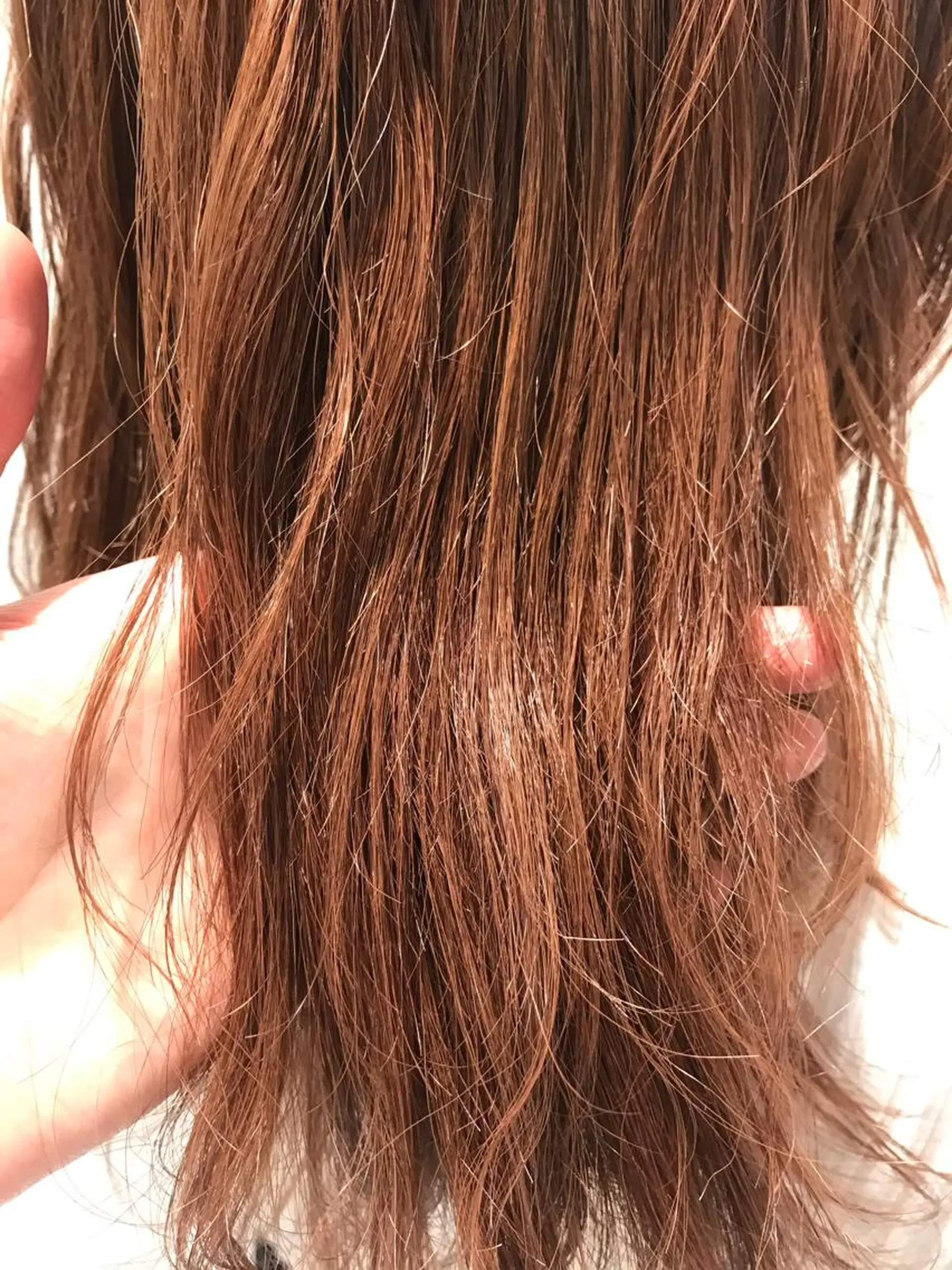 セミロング カラー ヘアアレンジ 透明感カラー オレンジ テラコッタ 【東北メンズヘア1 位受賞🥇】本間祐太のヘアスタイル