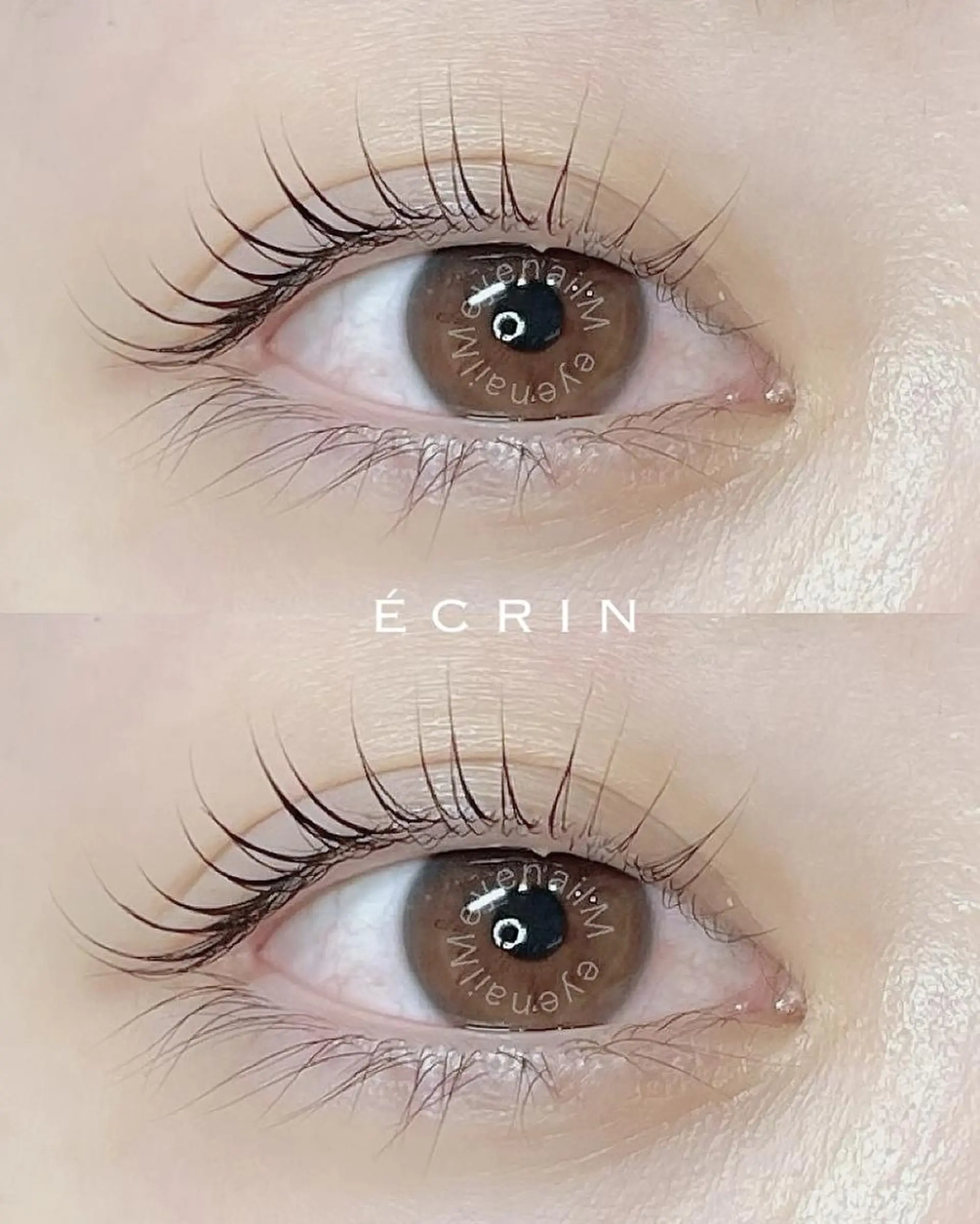 マツエク・マツパ マツパ 期間限定❄️ モデル様募集の眉毛・アイブロウイメージ