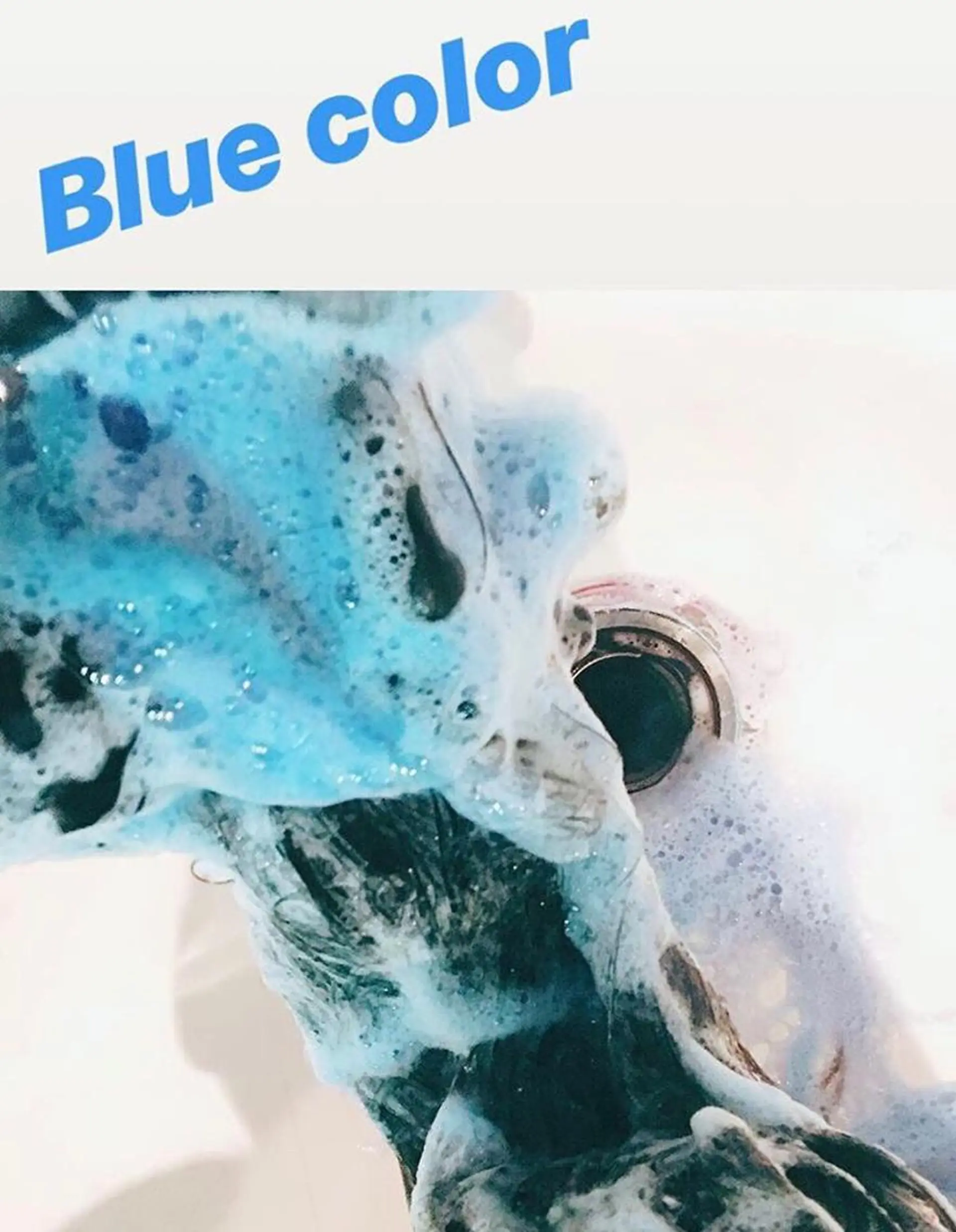 セミロング カラー loop hair所属・kohatsu こはっちゃんのネイルデザイン