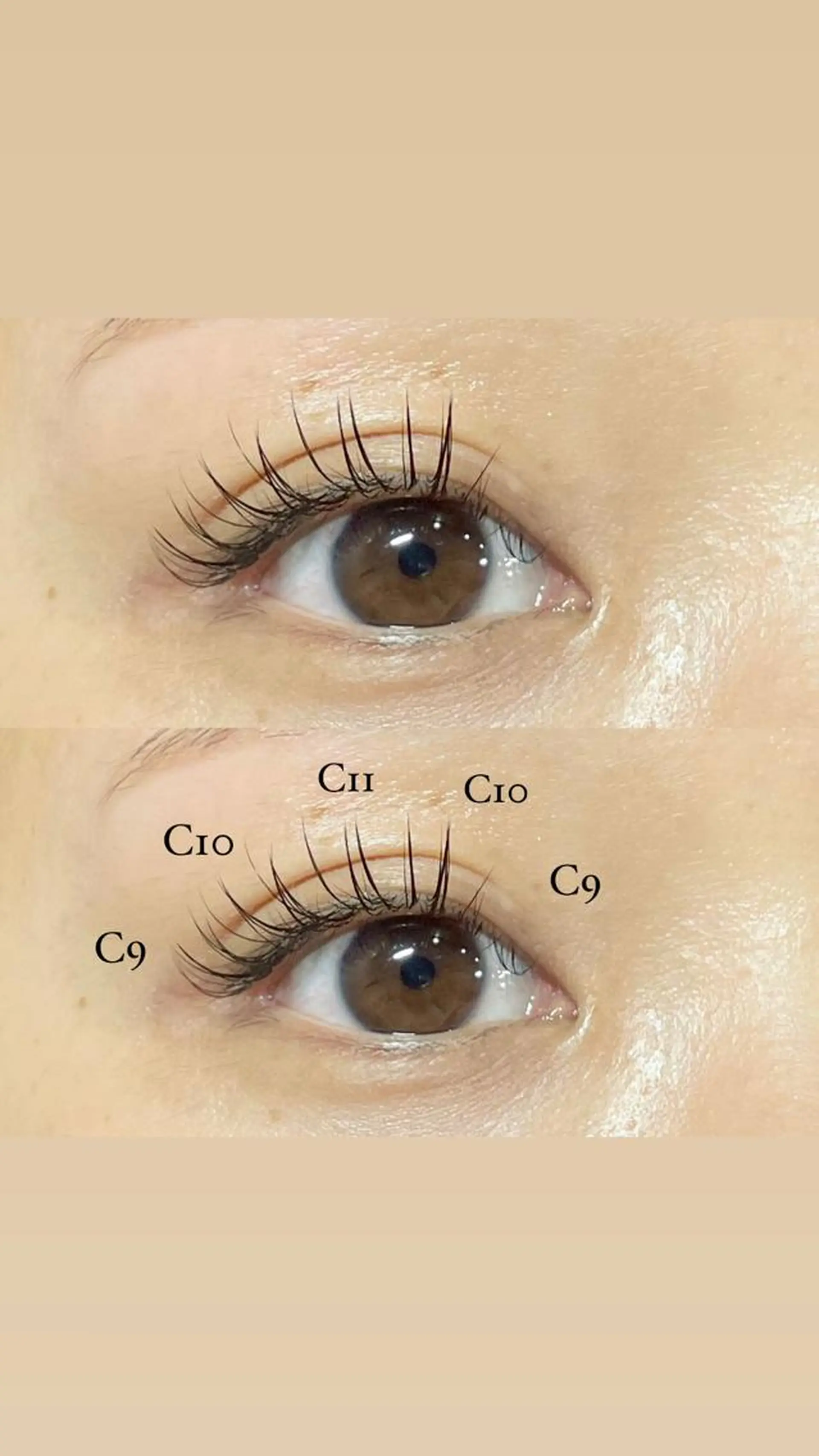 マツエク・マツパ セーブル ＋tico _ayanaのマツエク・マツパデザイン