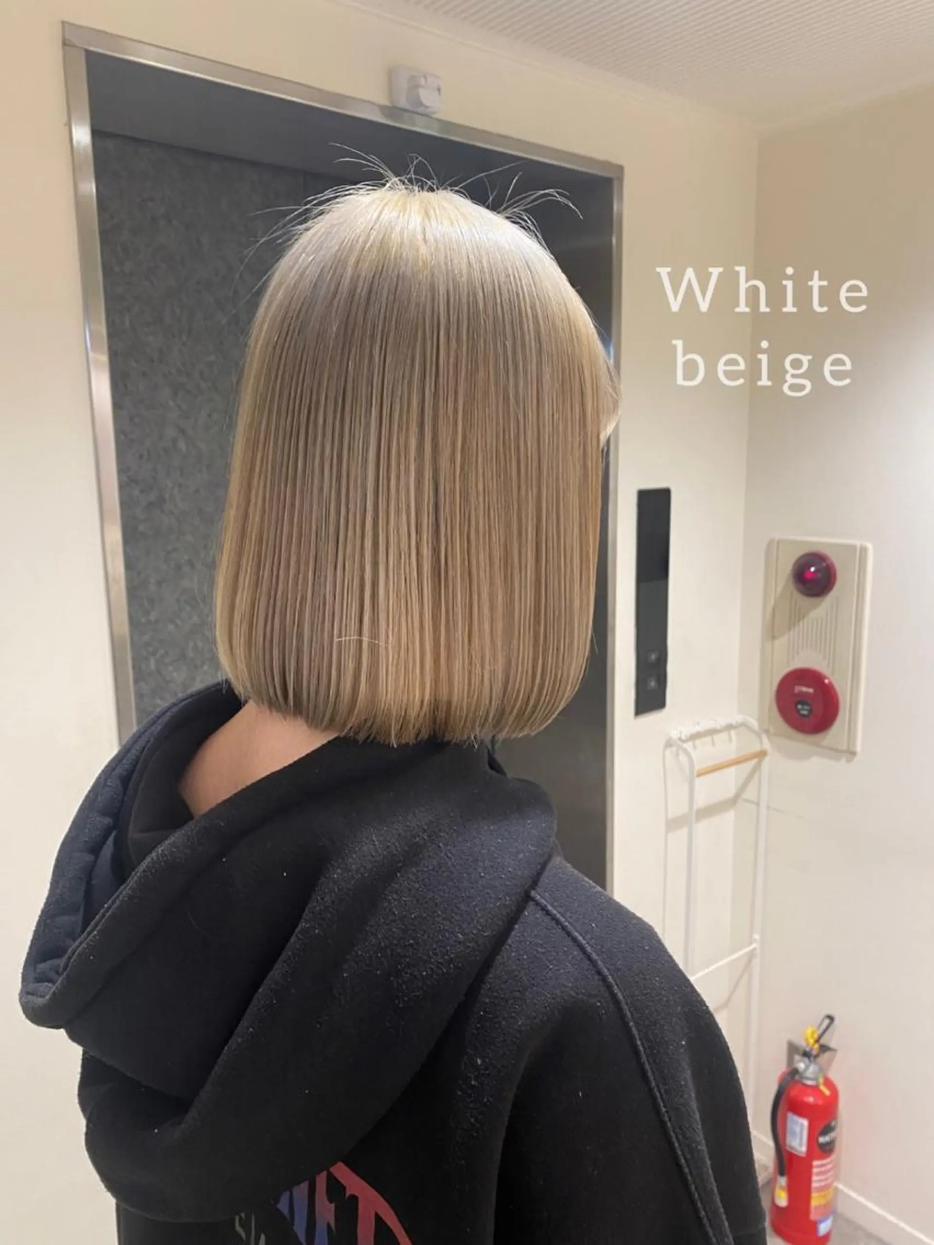 ミディアム カラー ヘアアレンジ ブリーチ ハイトーンカラー シルバー ヘアカラー ボブ /ニュアンス/ satomi🧸💖のヘアスタイル