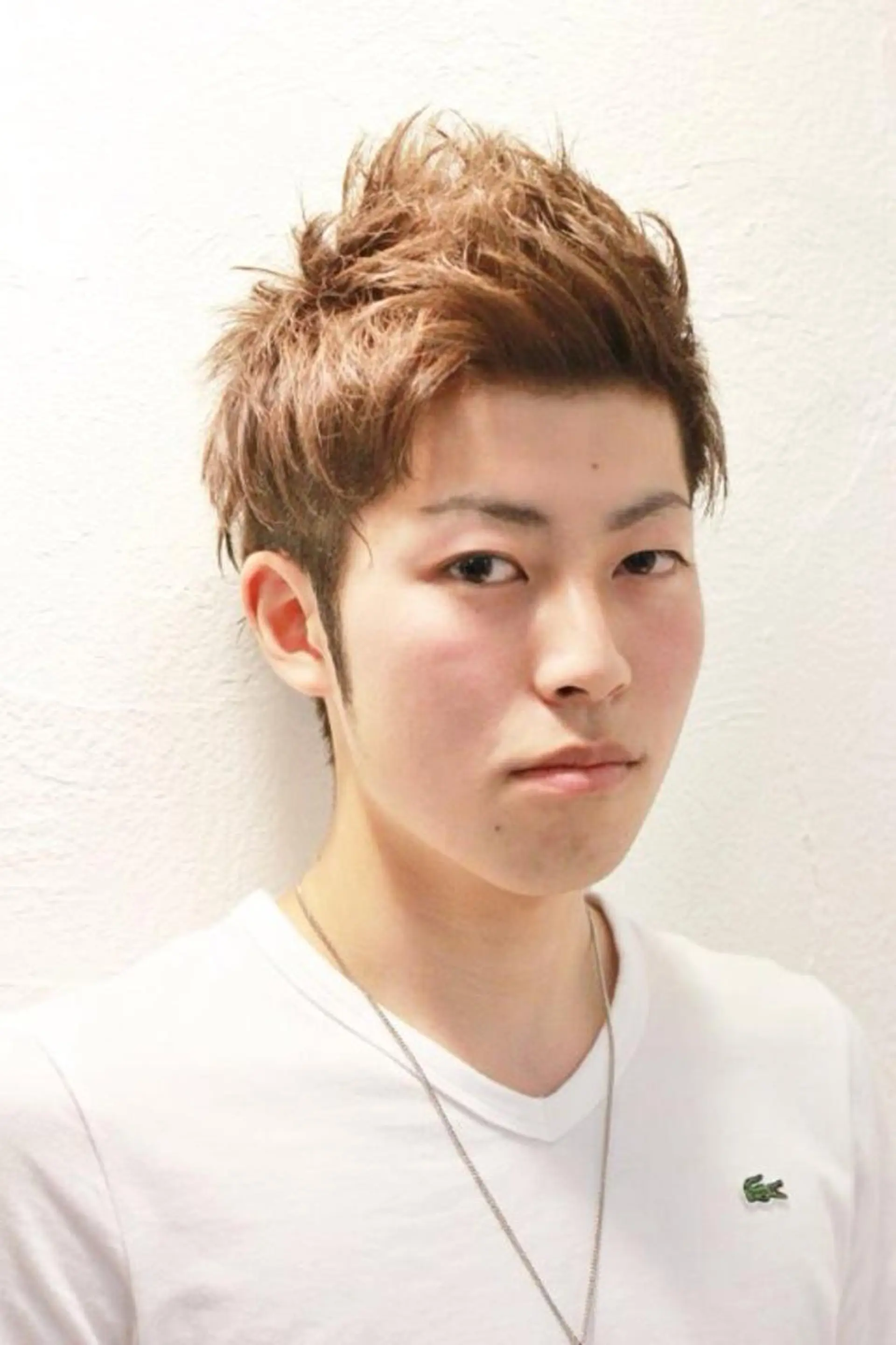 メンズ ツーブロック 所渉/韓国レイヤー /ウルフカットのヘアスタイル