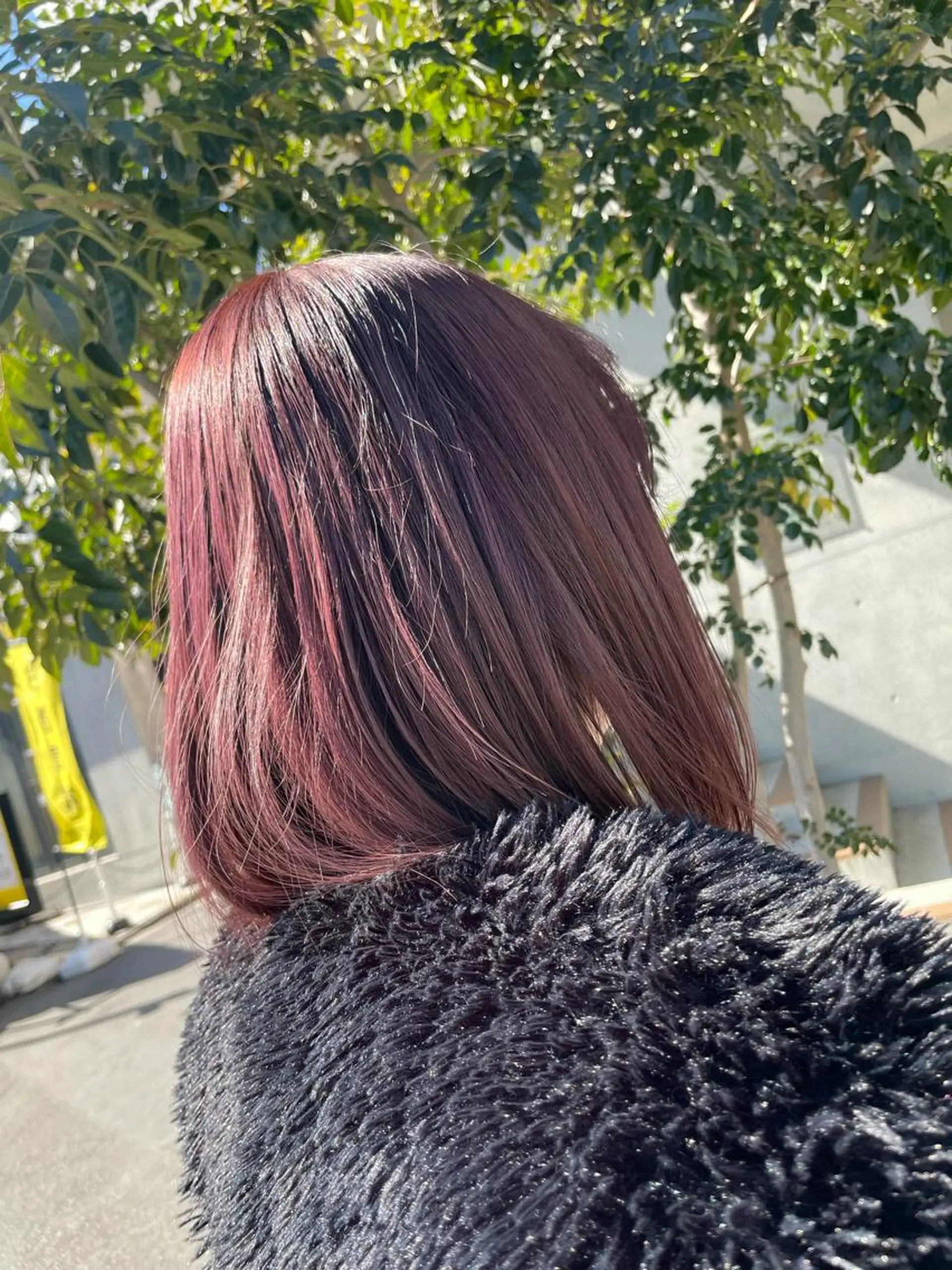 ミディアム カラー 白取 星矢のヘアスタイル