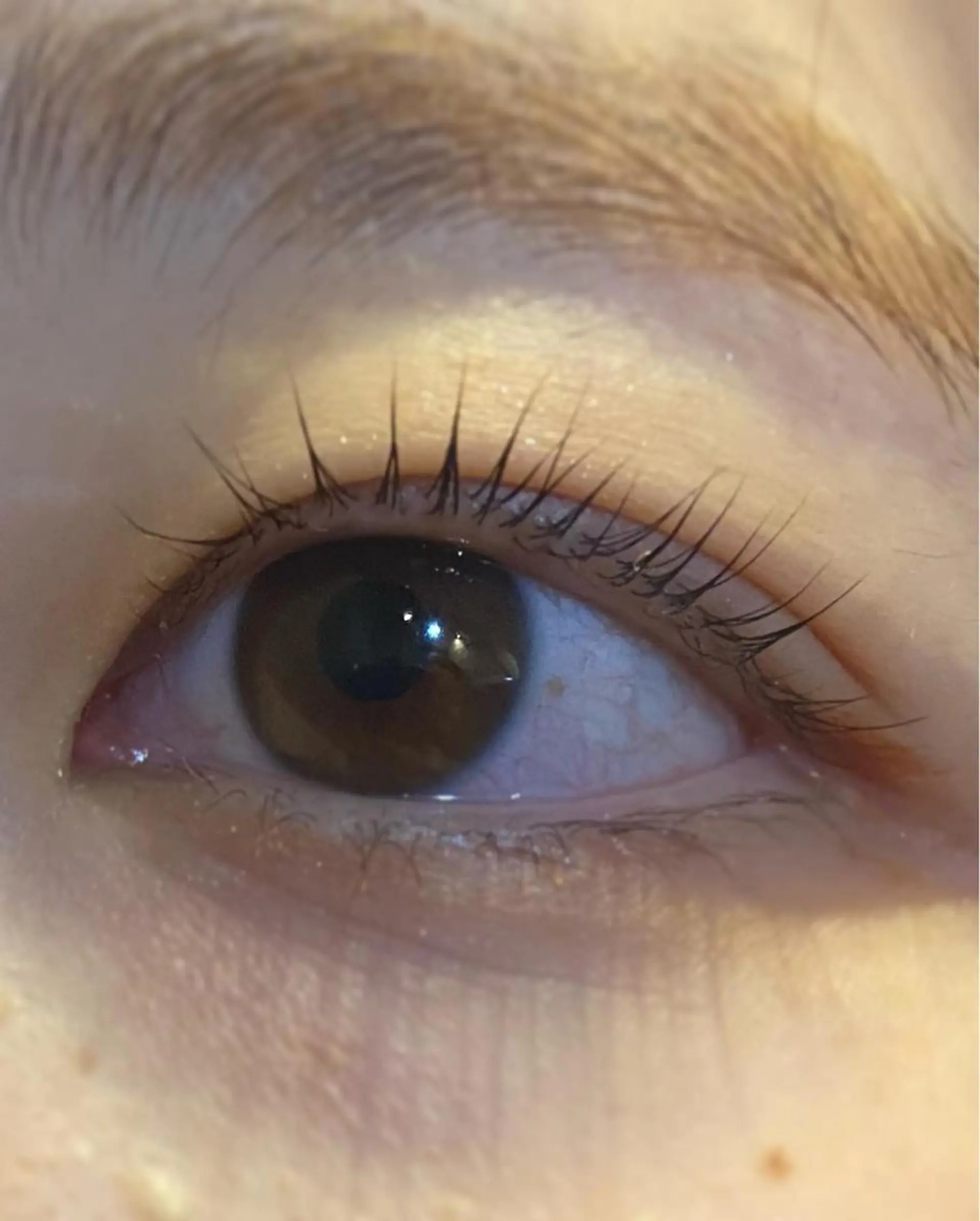 マツエク・マツパ マツパ ♥yelm ユウナ♥のヘアスタイル