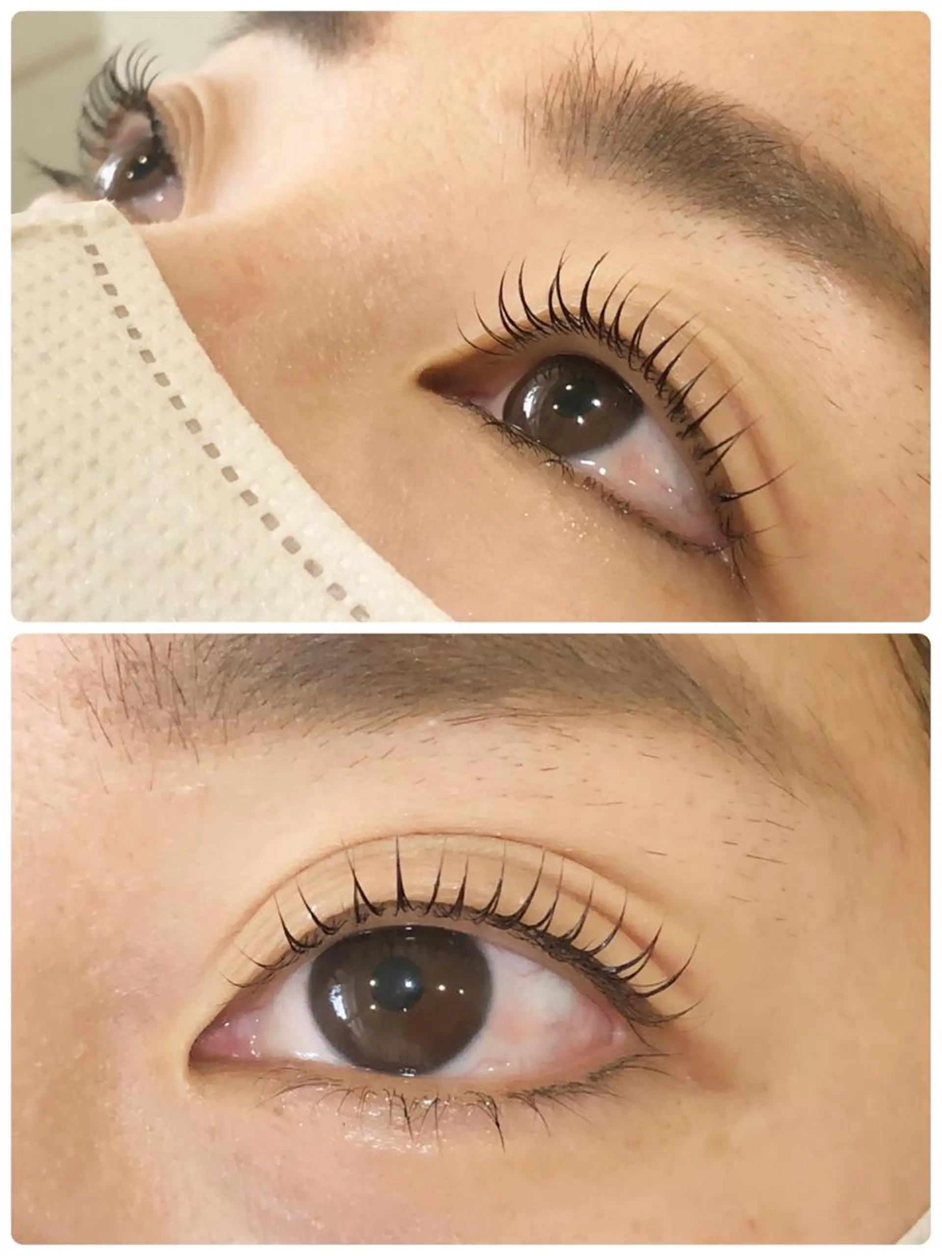 マツエク・マツパ eyelash salon la chou_chou所属・アイラッシュサロン ラシュシュのマツエク・マツパデザイン
