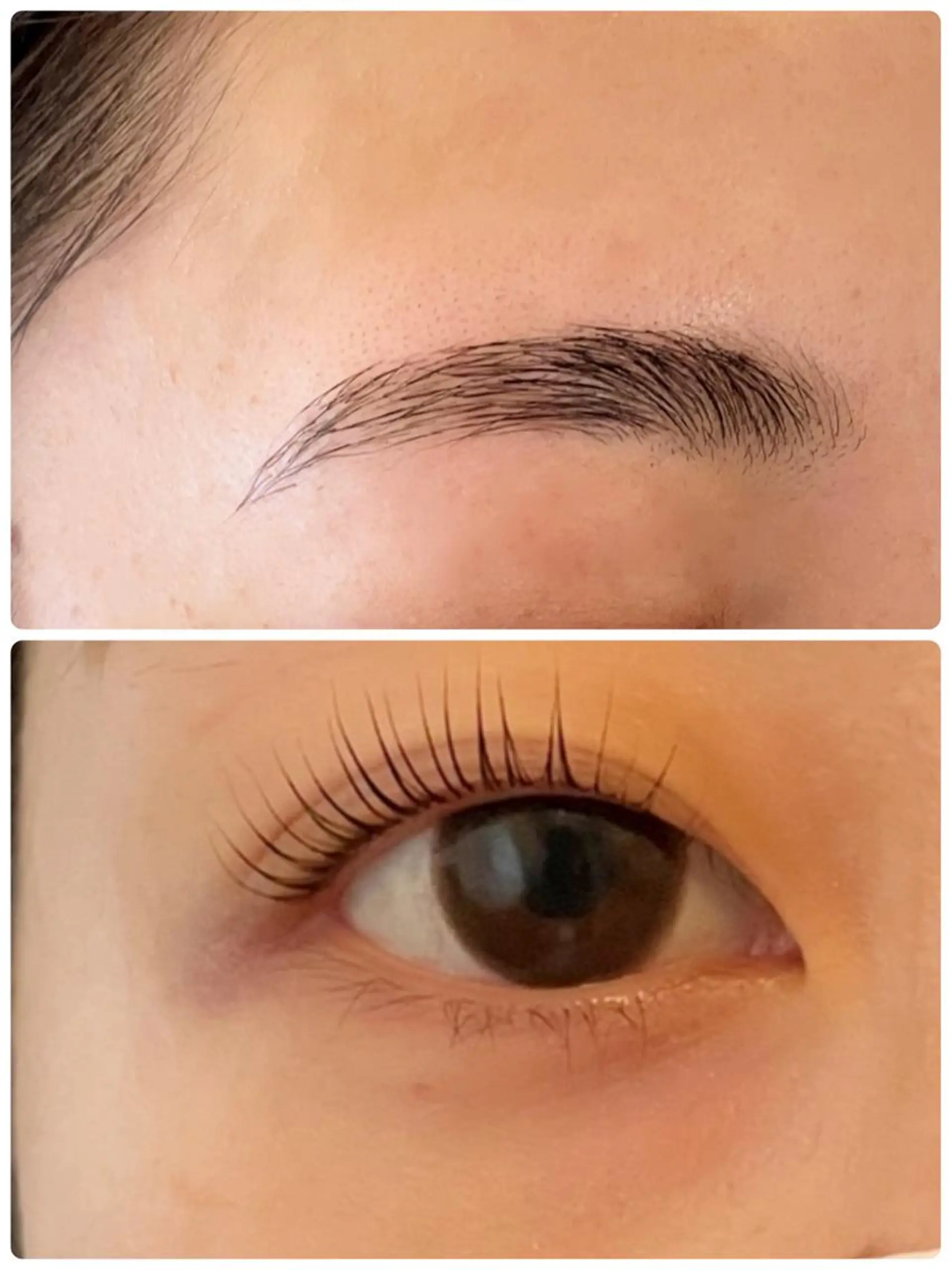 マツエク・マツパ アイブロウ Reine eyelashのマツエク・マツパデザイン