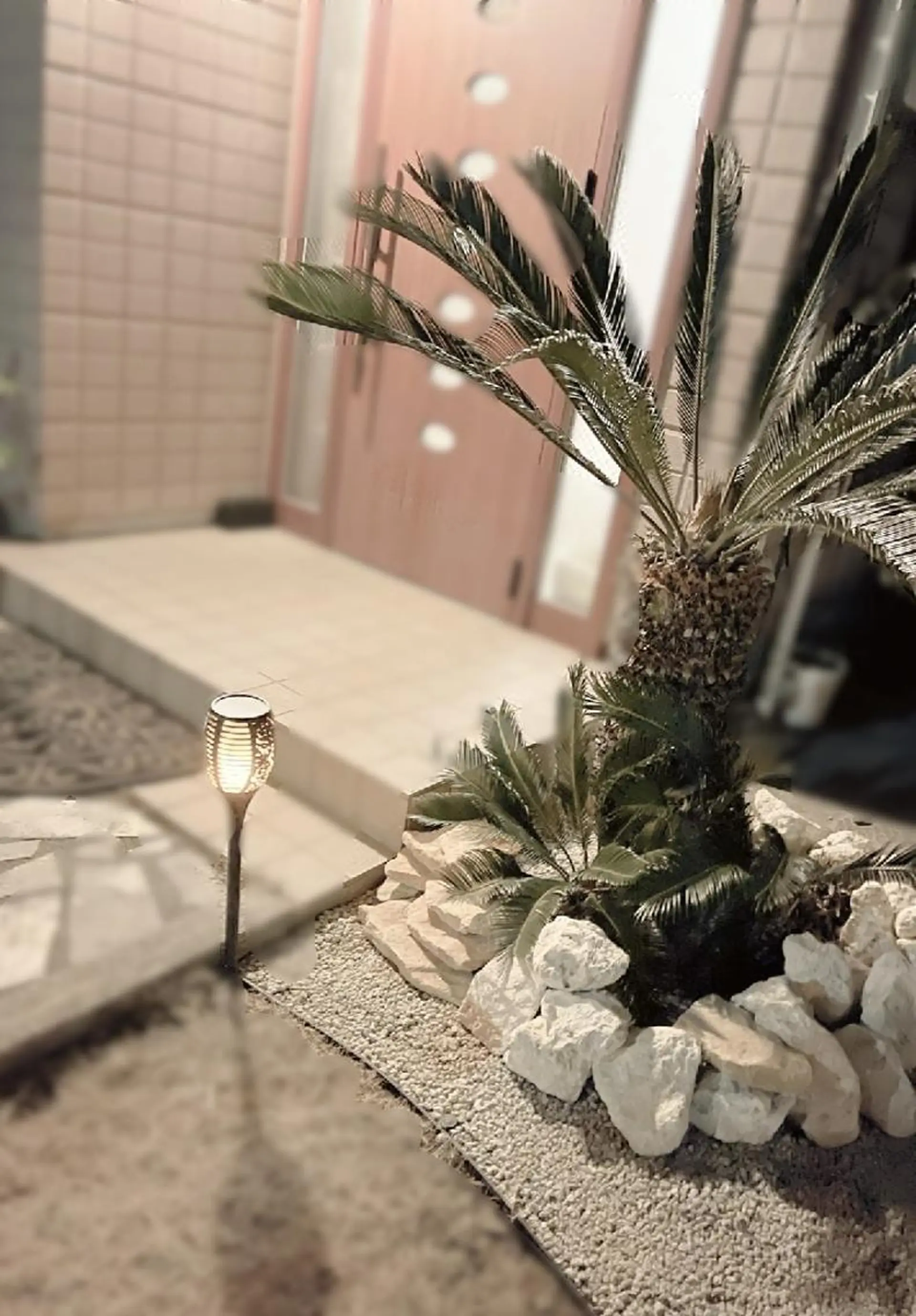 bianca【ビアンカ】所属・bianca 【菌活 温活 小顔】のエステ・リラクイメージ