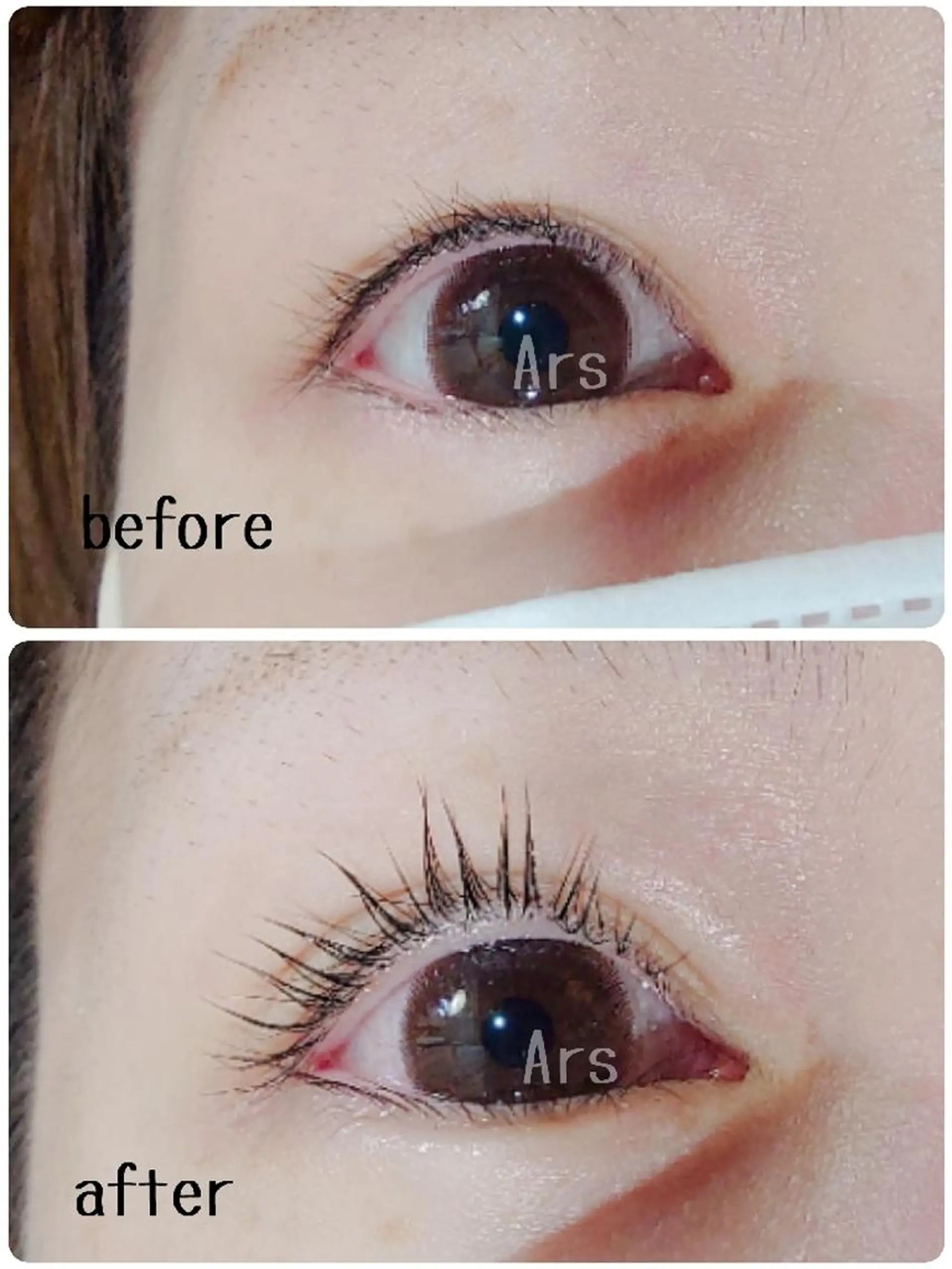 マツエク・マツパ アイリッドアップパーマ Ars  (ｱﾙｽ)所属・Ars      (ｱﾙｽ)のマツエク・マツパデザイン