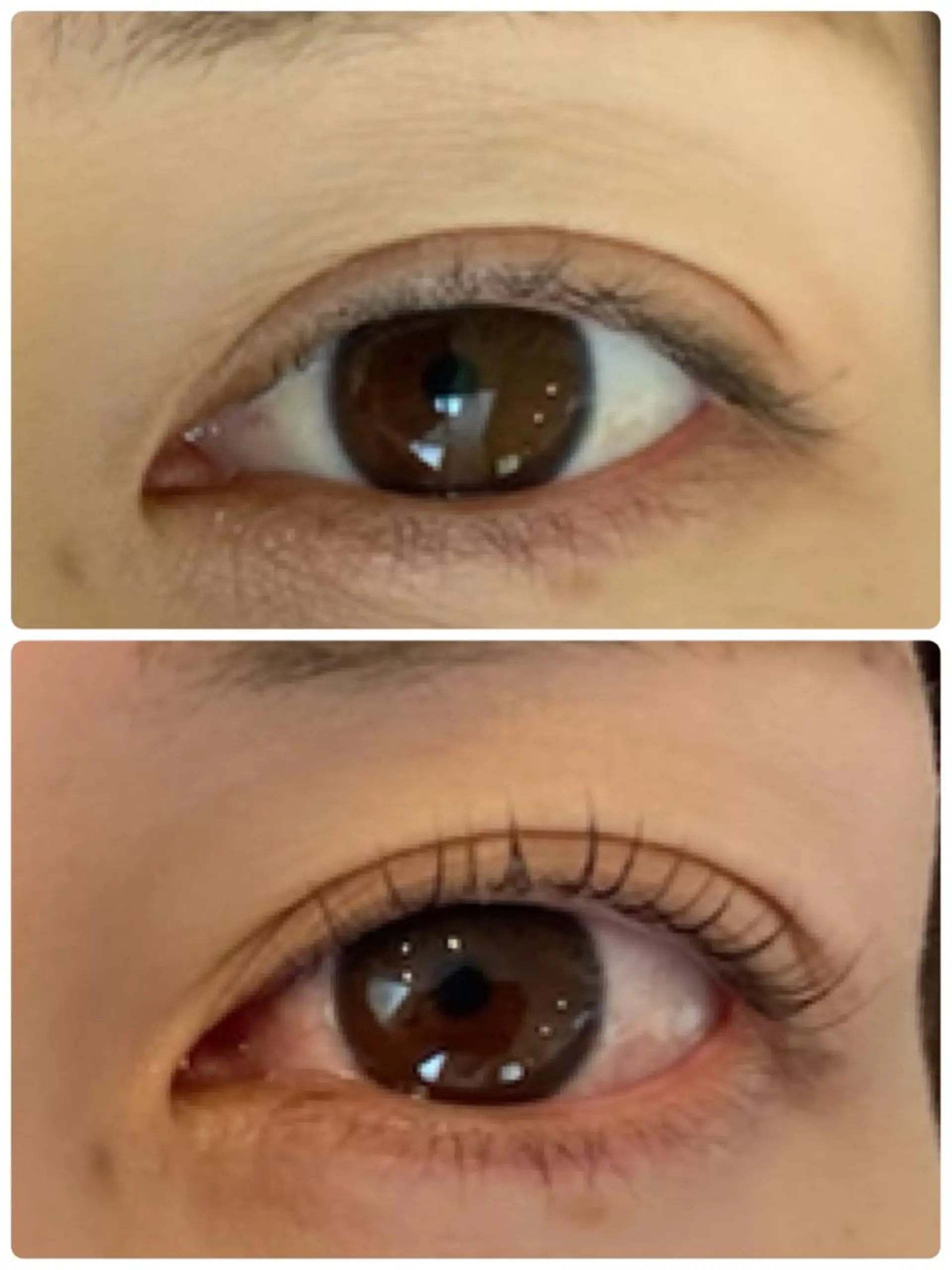 マツエク・マツパ マツパ Yu uのマツエク・マツパデザイン