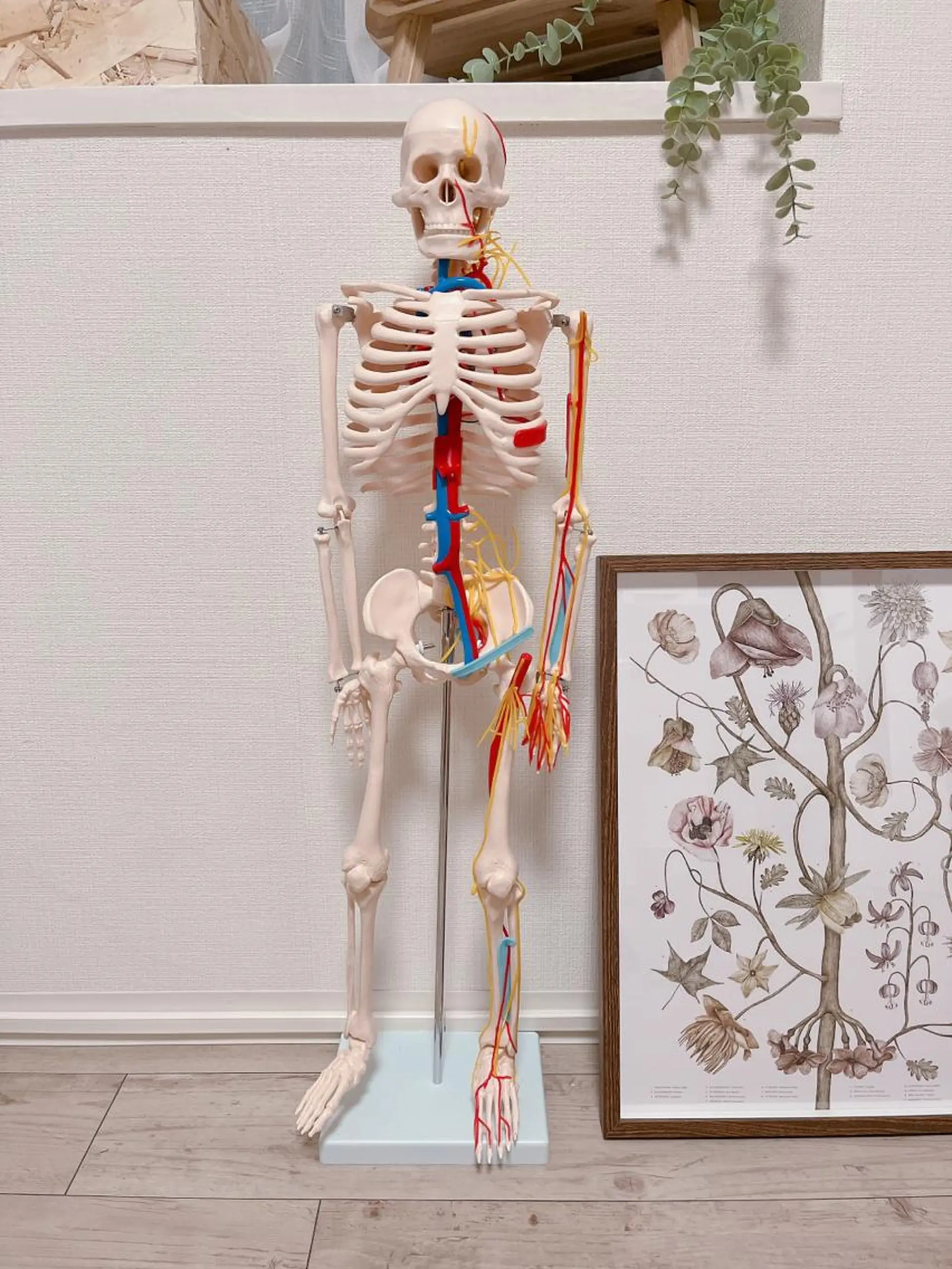 エステ リラク Diamedel所属・柴田 知里のエステ・リラクイメージ