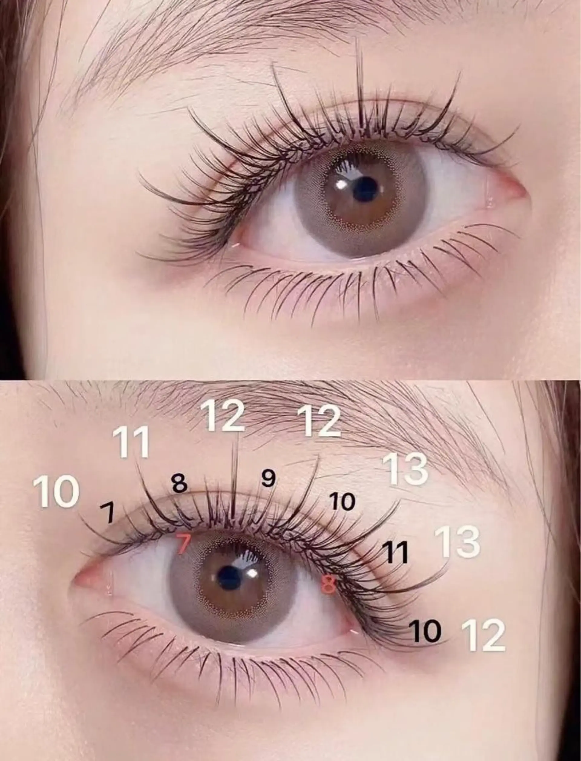 ミディアム マツエク・マツパ ダブル テーマのマツエク・マツパデザイン