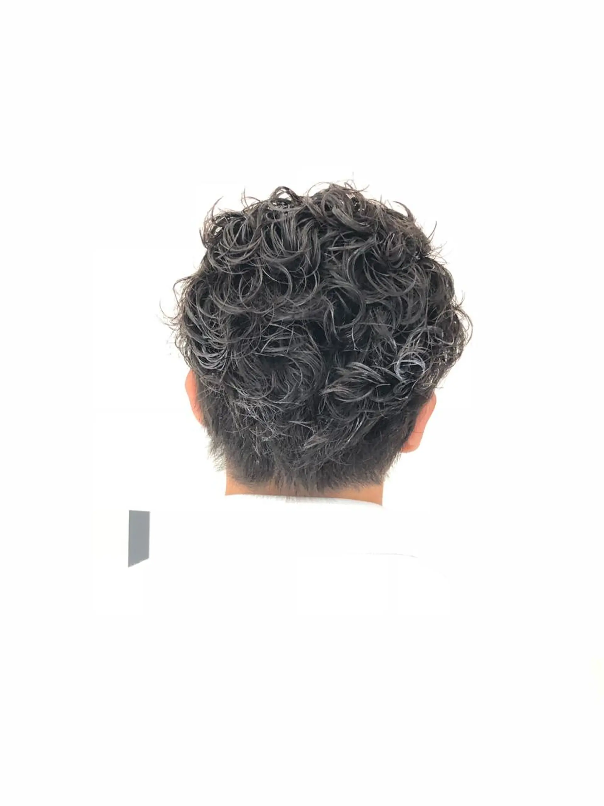メンズ メンズパーマ ショートが得意✂️ 藤城建太のヘアスタイル