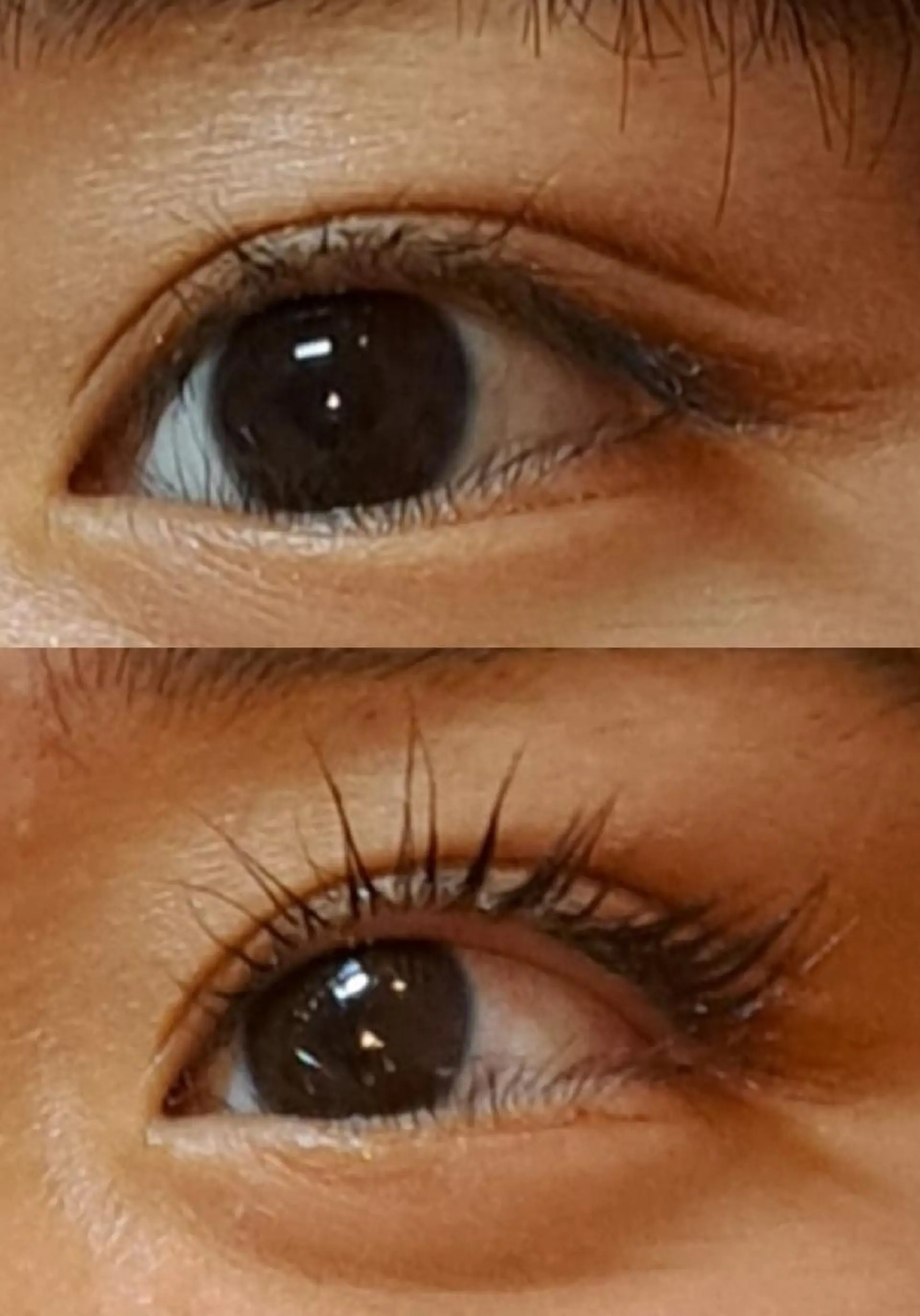 マツエク・マツパ パリジェンヌラッシュリフト トータルビューティー  バルフィット所属・冨永 小絵のマツエク・マツパデザイン