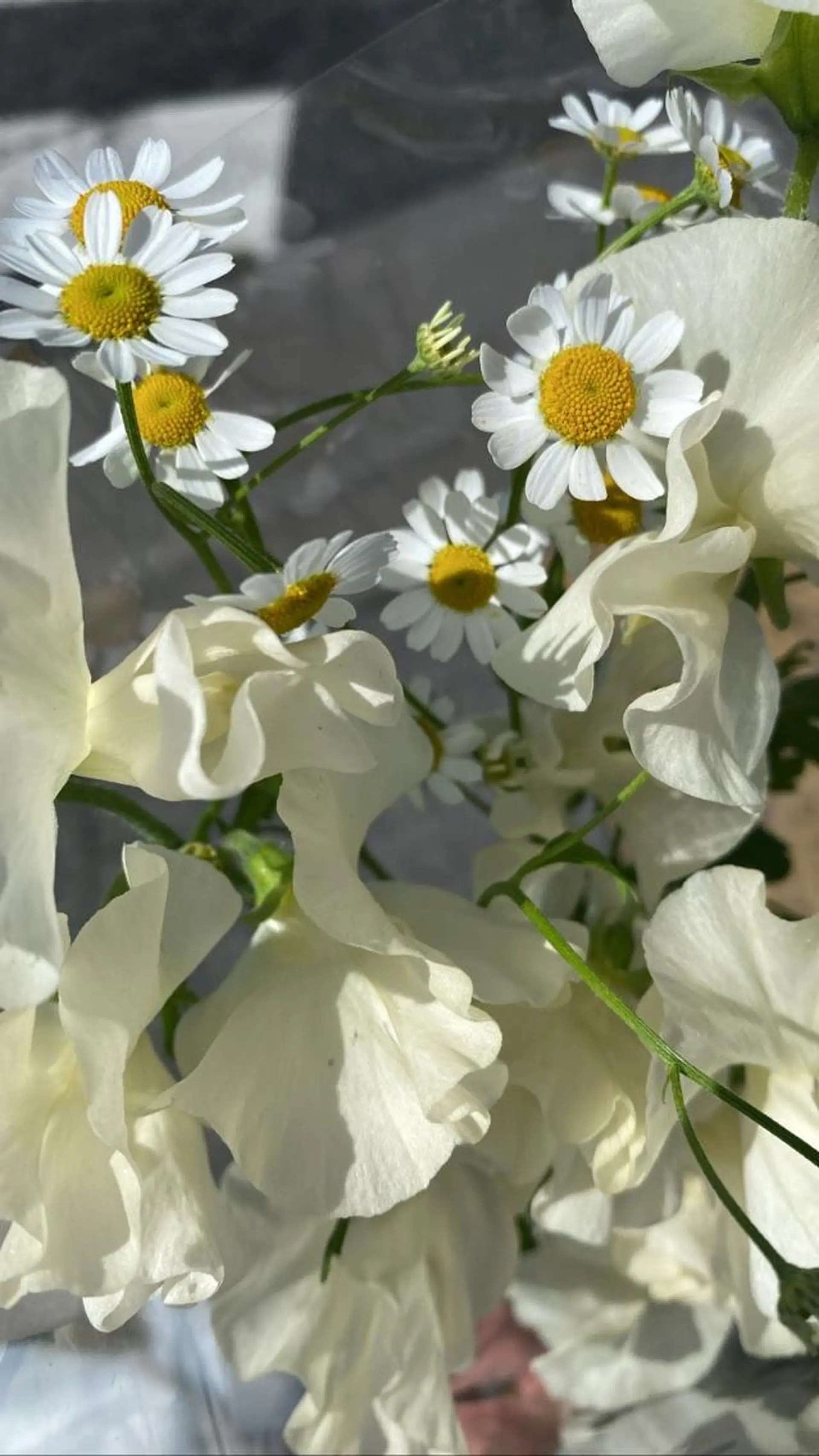 マツエク・マツパ komatsu eyelash恵比寿のマツエク・マツパデザイン