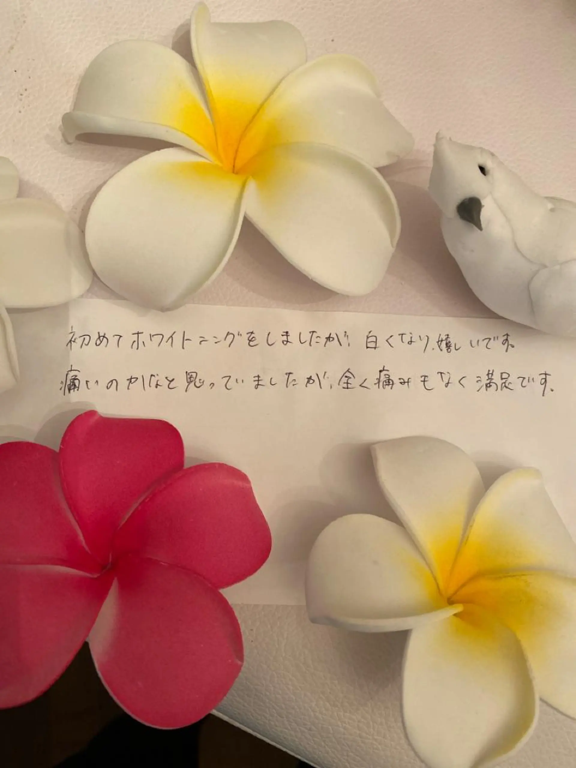 R E O T I A R A（レオティアラ）所属・高屋 昌子のその他イメージ