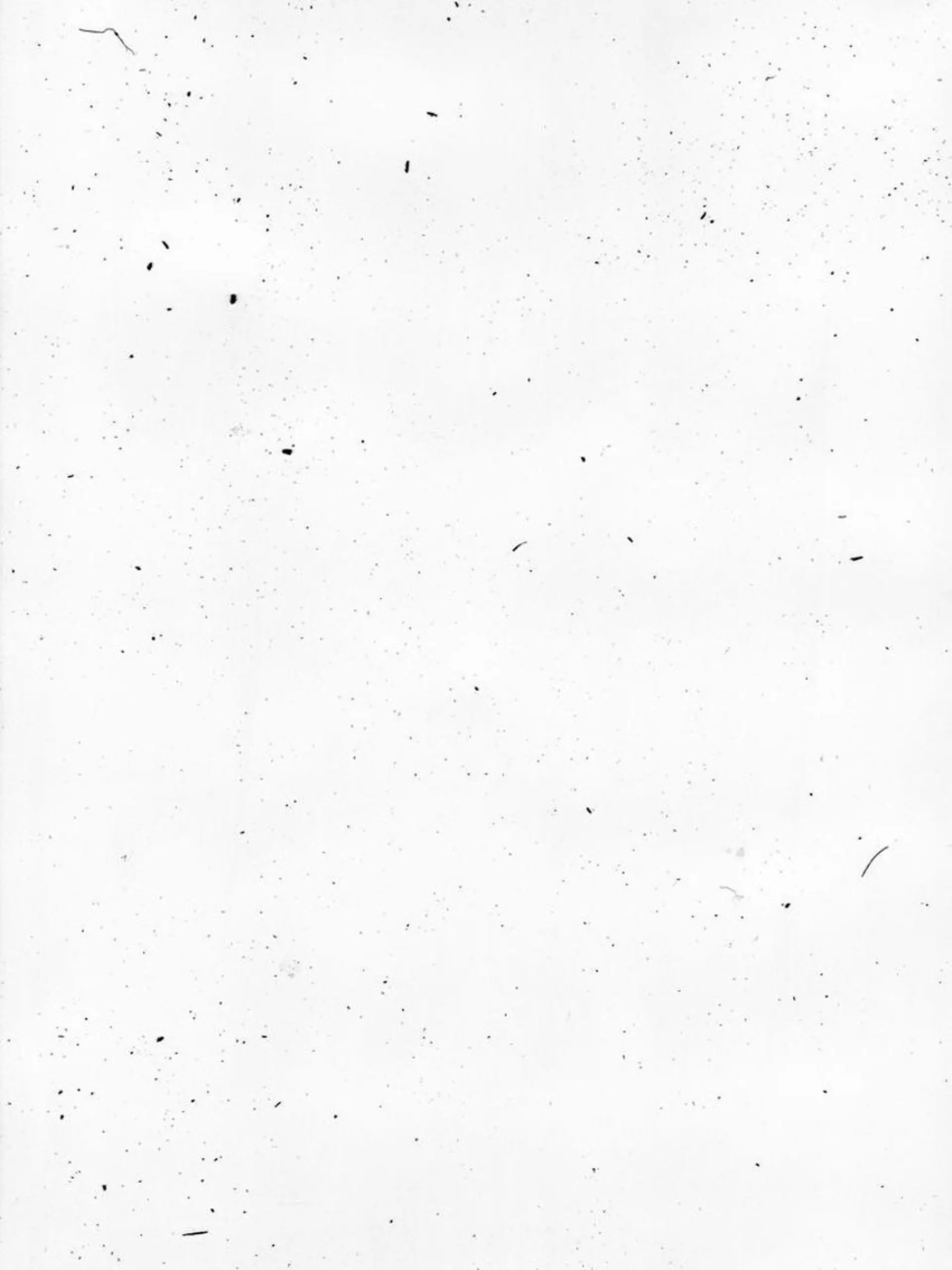 ネイル Cu. (くー)のネイルデザイン