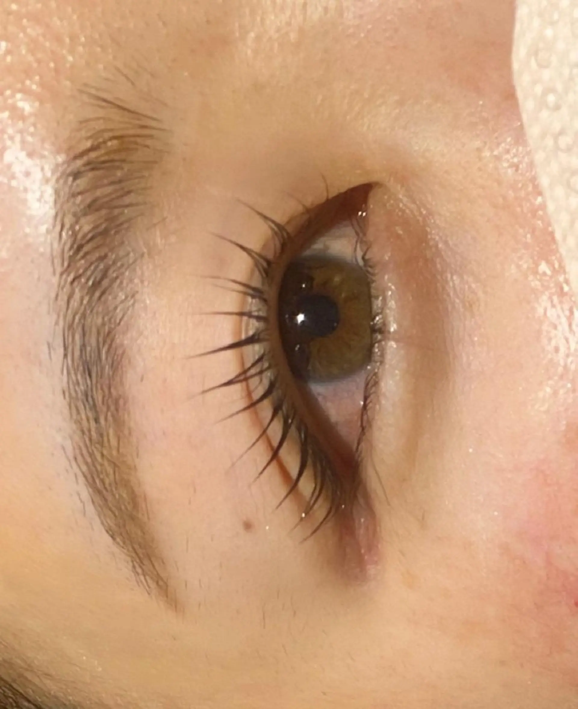 マツエク・マツパ メンズパーマ眉毛 特化アユム🔥のヘアスタイル