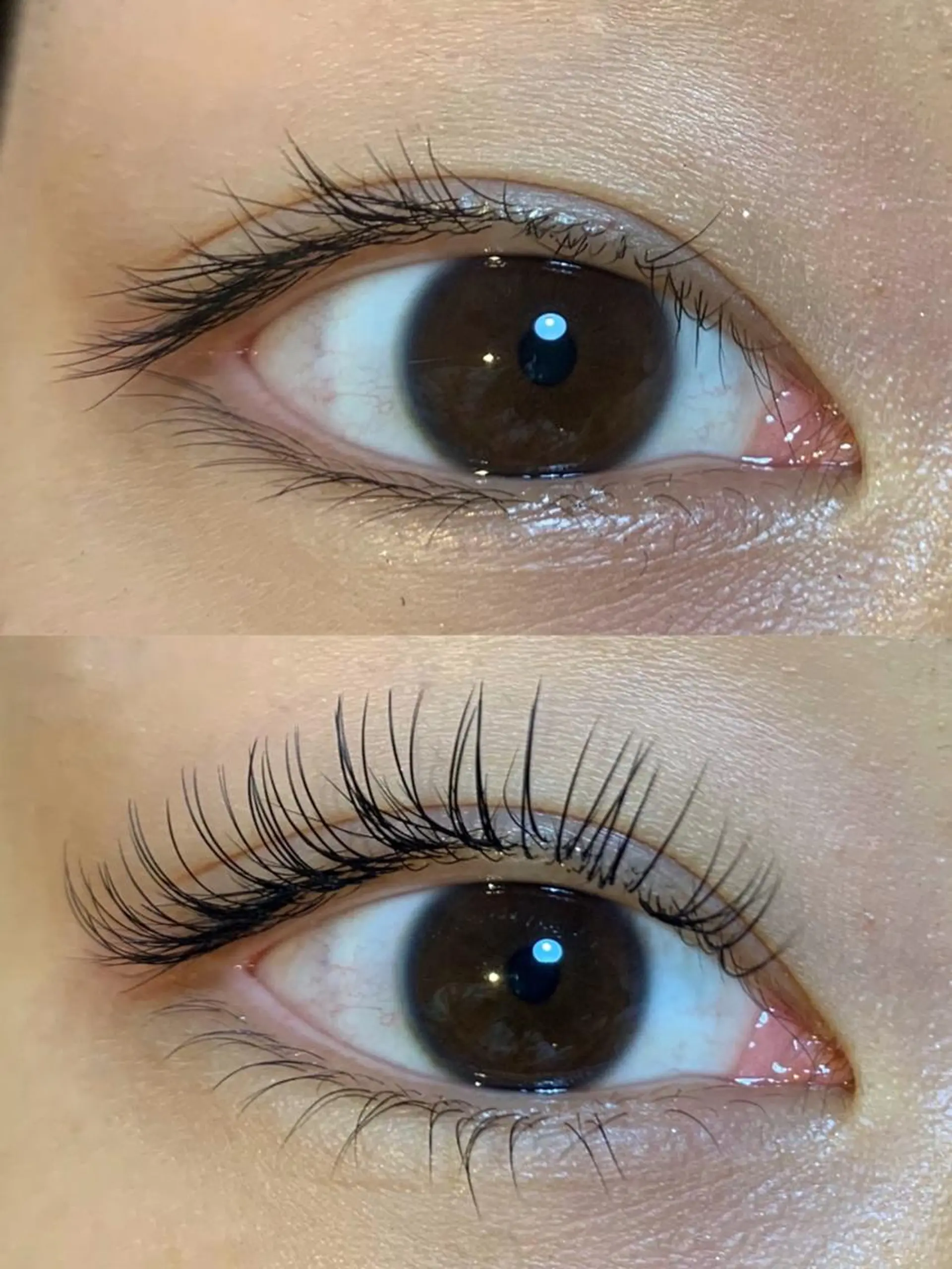 マツエク・マツパ まつげパーマ 下まつげエクステ マツエク mist AYA 🏝️eyelashのマツエク・マツパデザイン