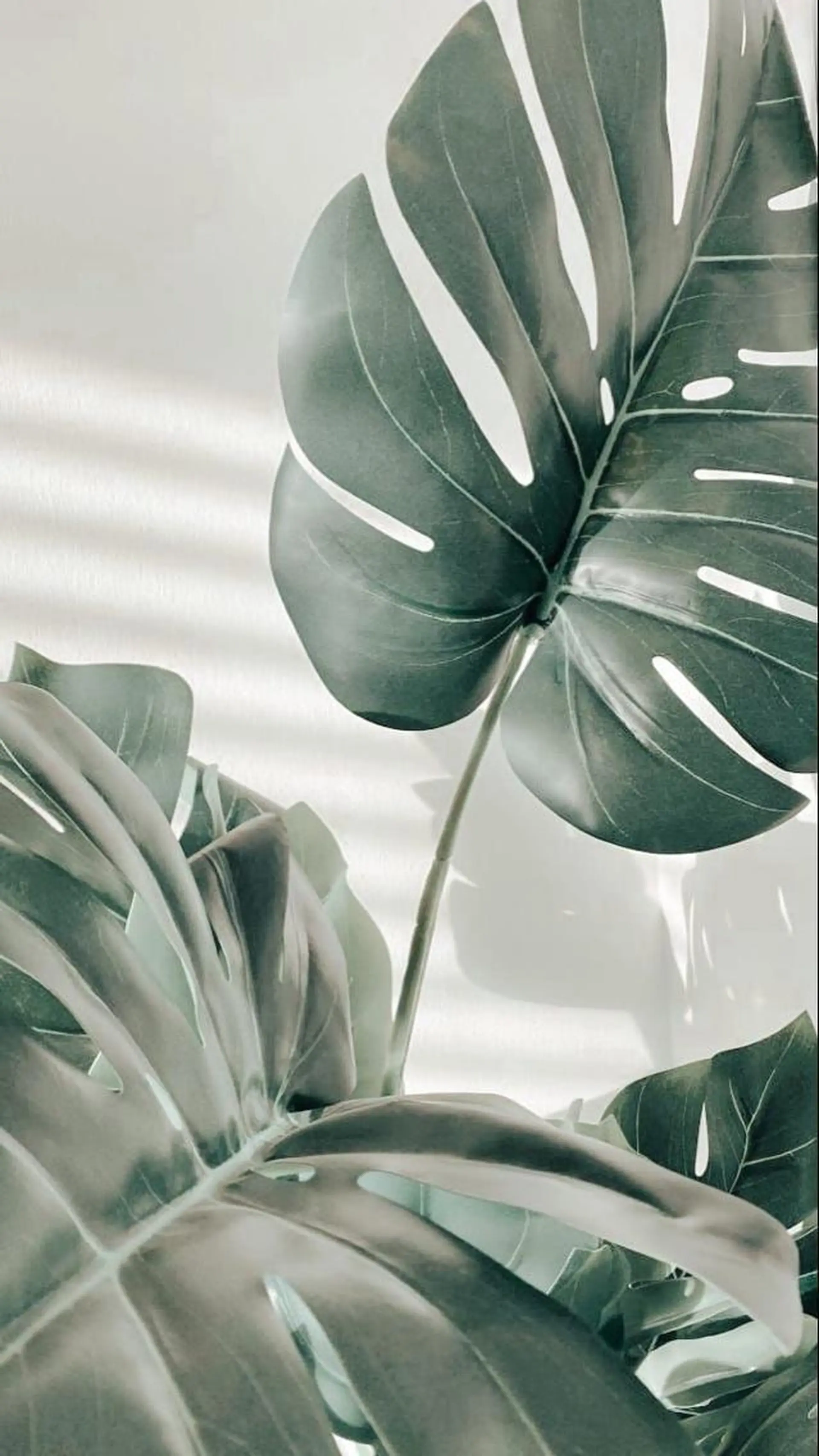 Saki 🍊 荻窪｜nailのネイルデザイン