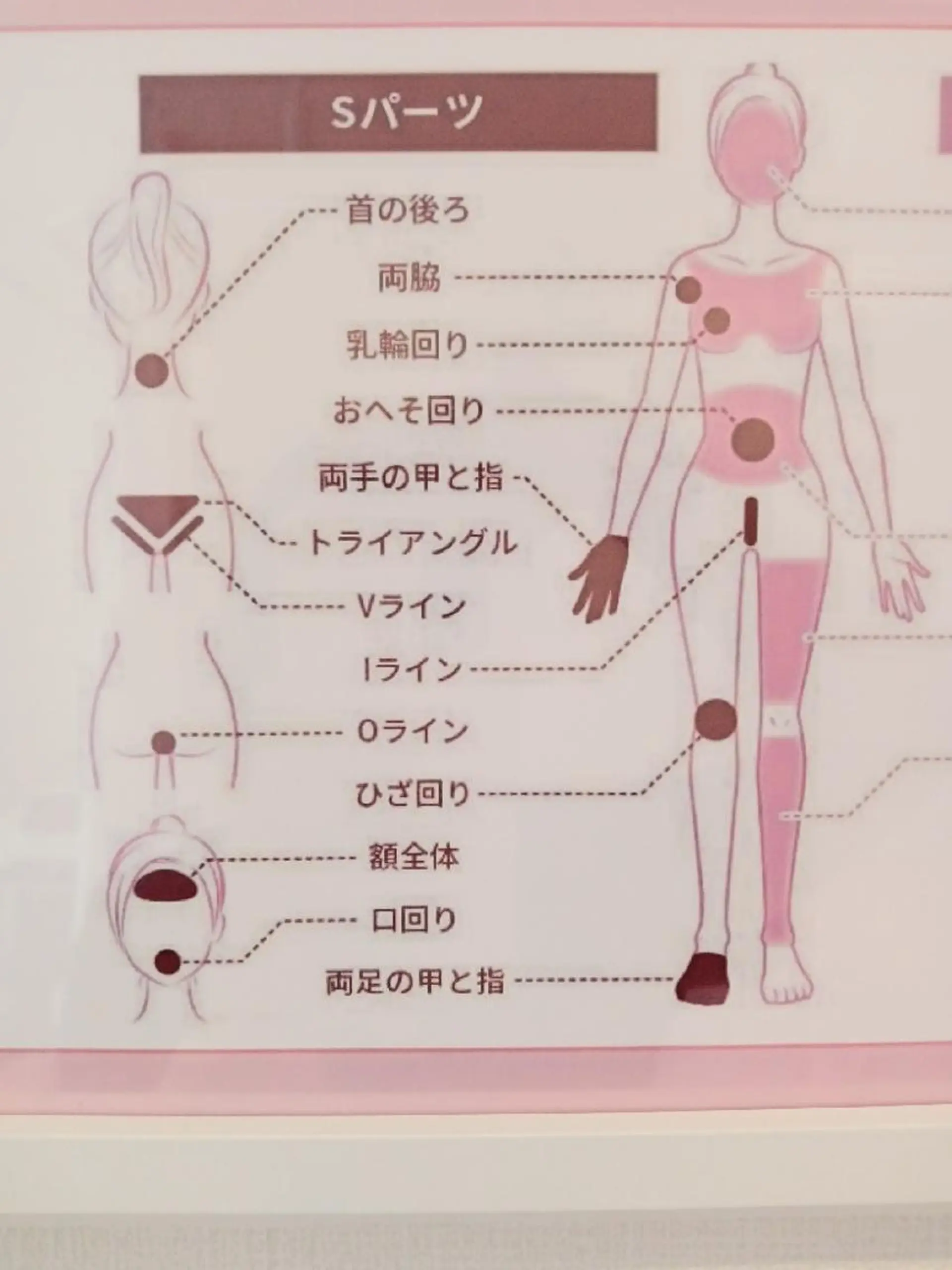 マシュマロバスト coucouのエステ・リラクイメージ