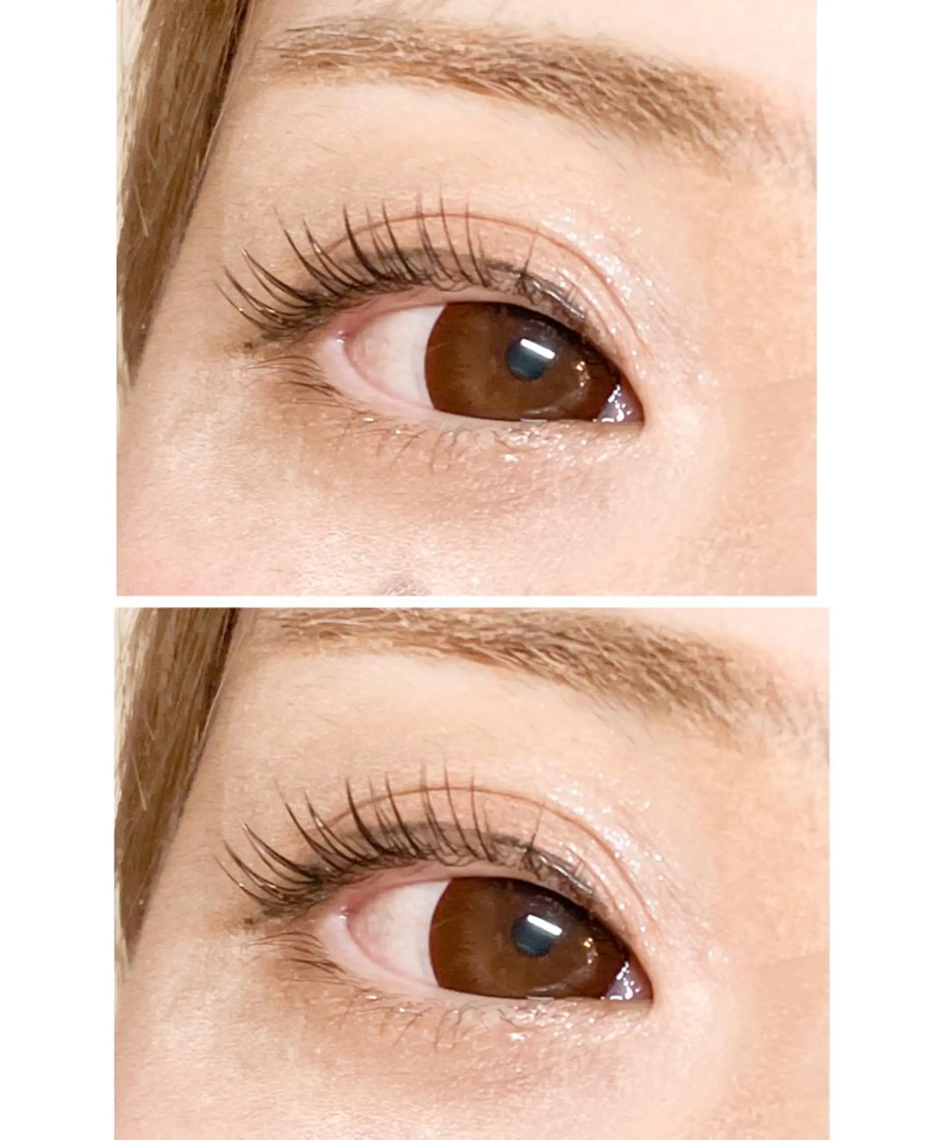 マツエク・マツパ パリジェンヌラッシュリフト Reir所属・Reir・ SHIORIのマツエク・マツパデザイン