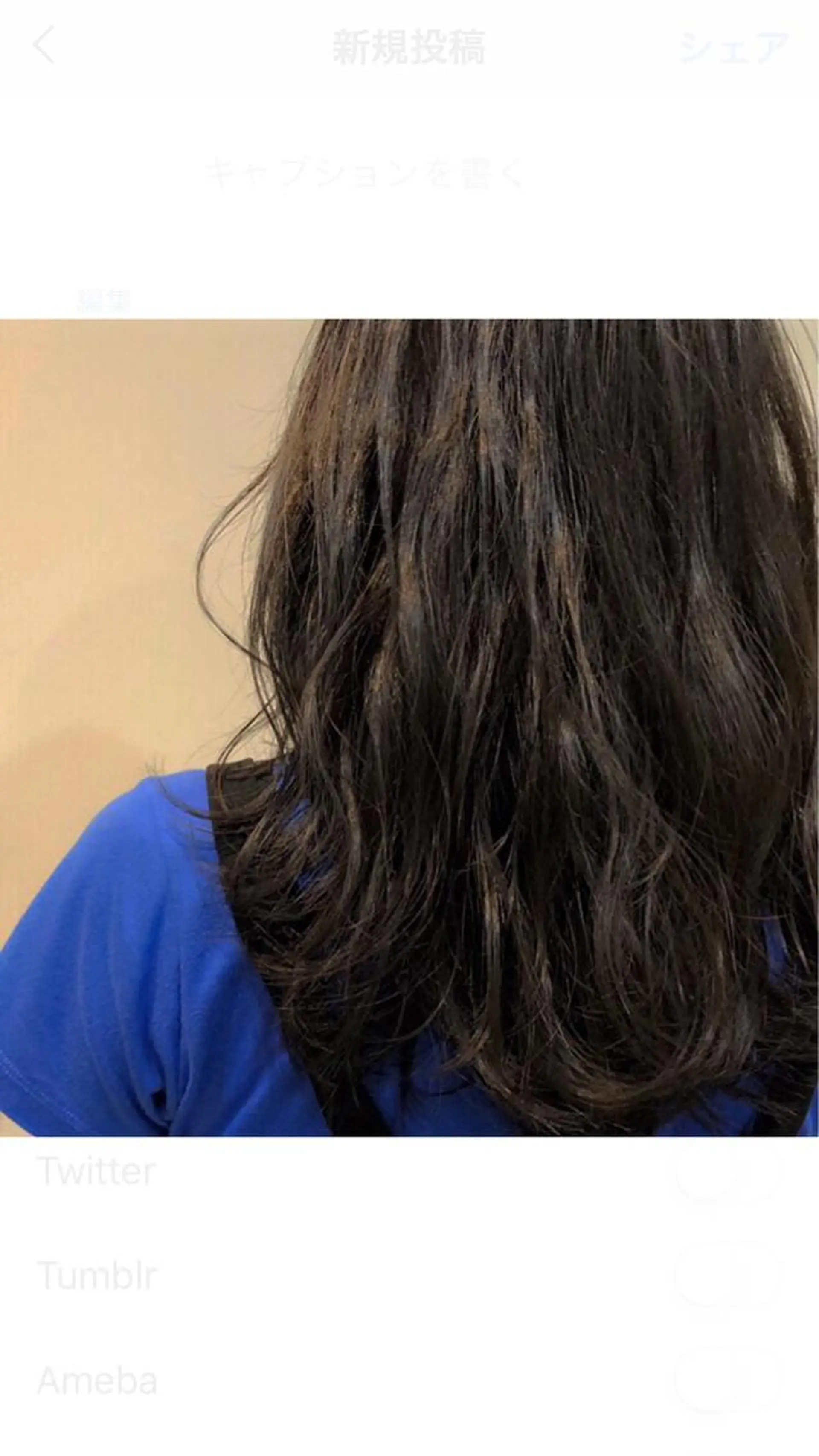 ミディアム カラー パーマ ミディアムパーマ デジタルパーマ 💫期間限定価格💫 似合わせカット🧚のヘアスタイル