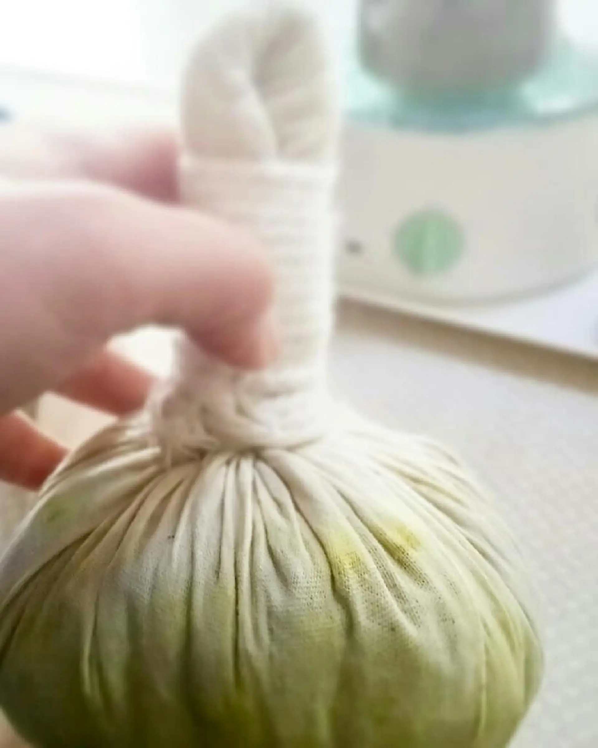 リラクゼーション 森の中の木の実のエステ・リラクイメージ