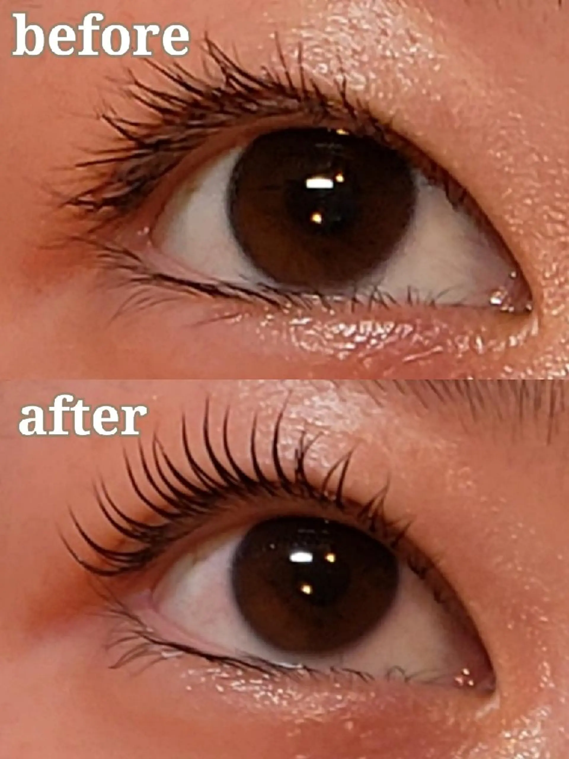 マツエク・マツパ ナチュラル 一重×まつ毛パーマ トータルビューティー  バルフィット所属・冨永 小絵のマツエク・マツパデザイン