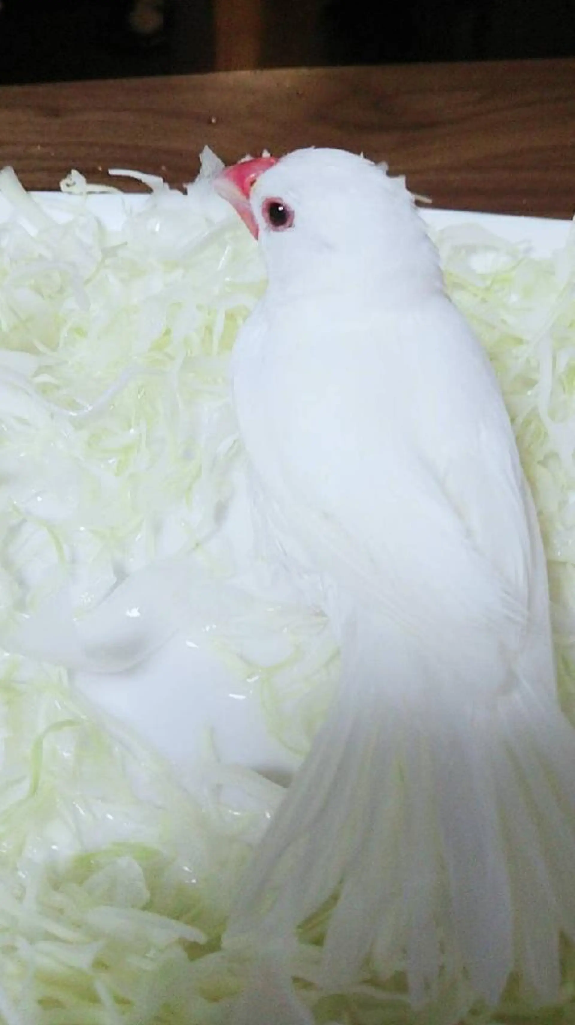 g*rossa高橋 くみこのエステ・リラクイメージ