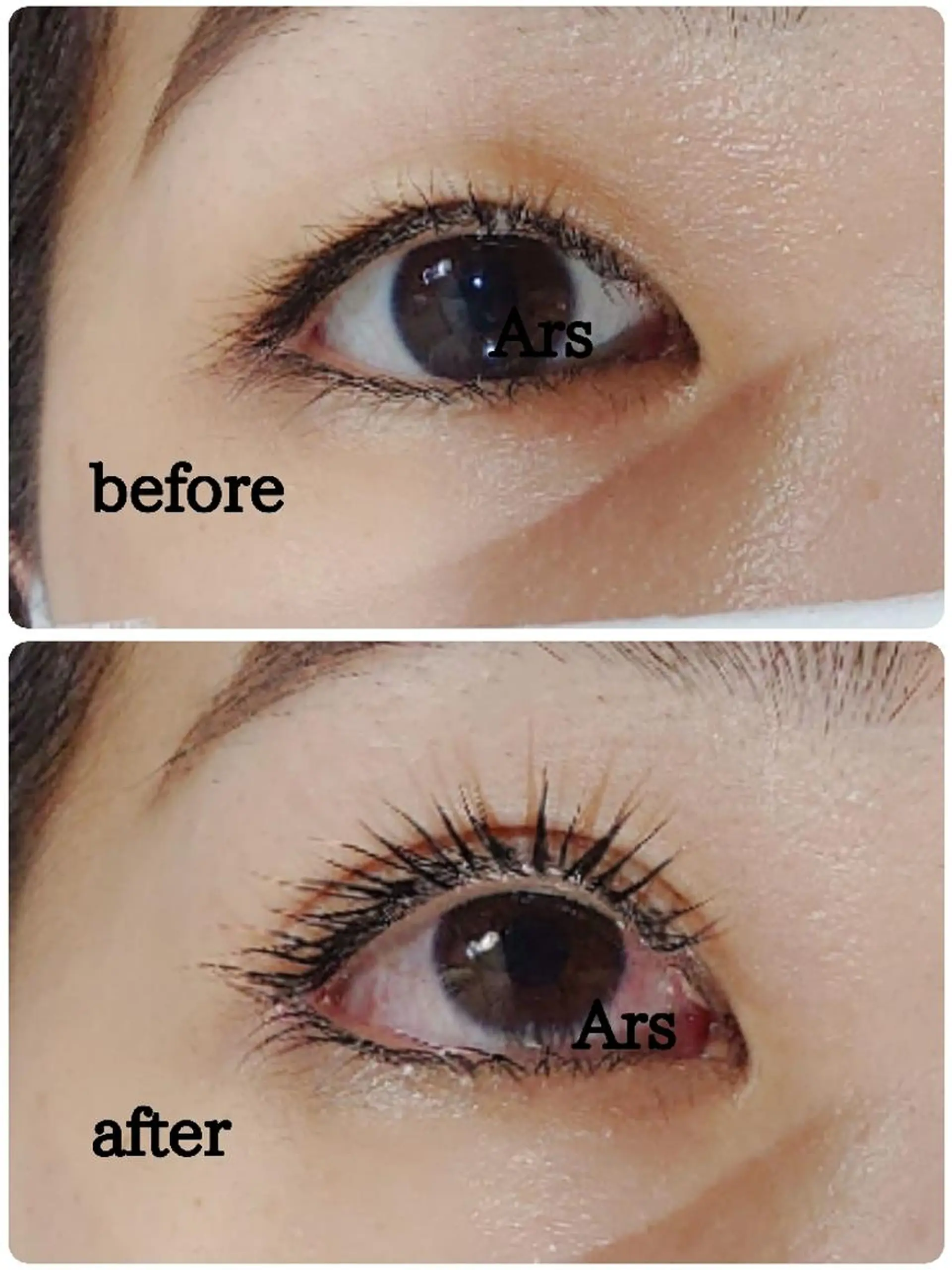 マツエク・マツパ アイリッドアップパーマ Ars  (ｱﾙｽ)所属・Ars      (ｱﾙｽ)のマツエク・マツパデザイン