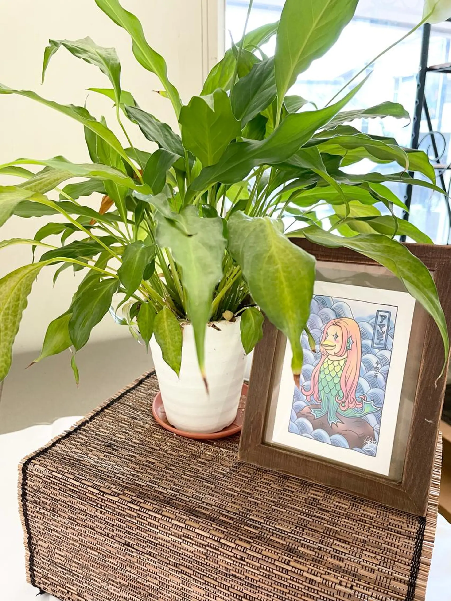 メナードフェイシャルサロンマオンデファーダ所属・メナードフェイシャル マオンデファーダのエステ・リラクイメージ