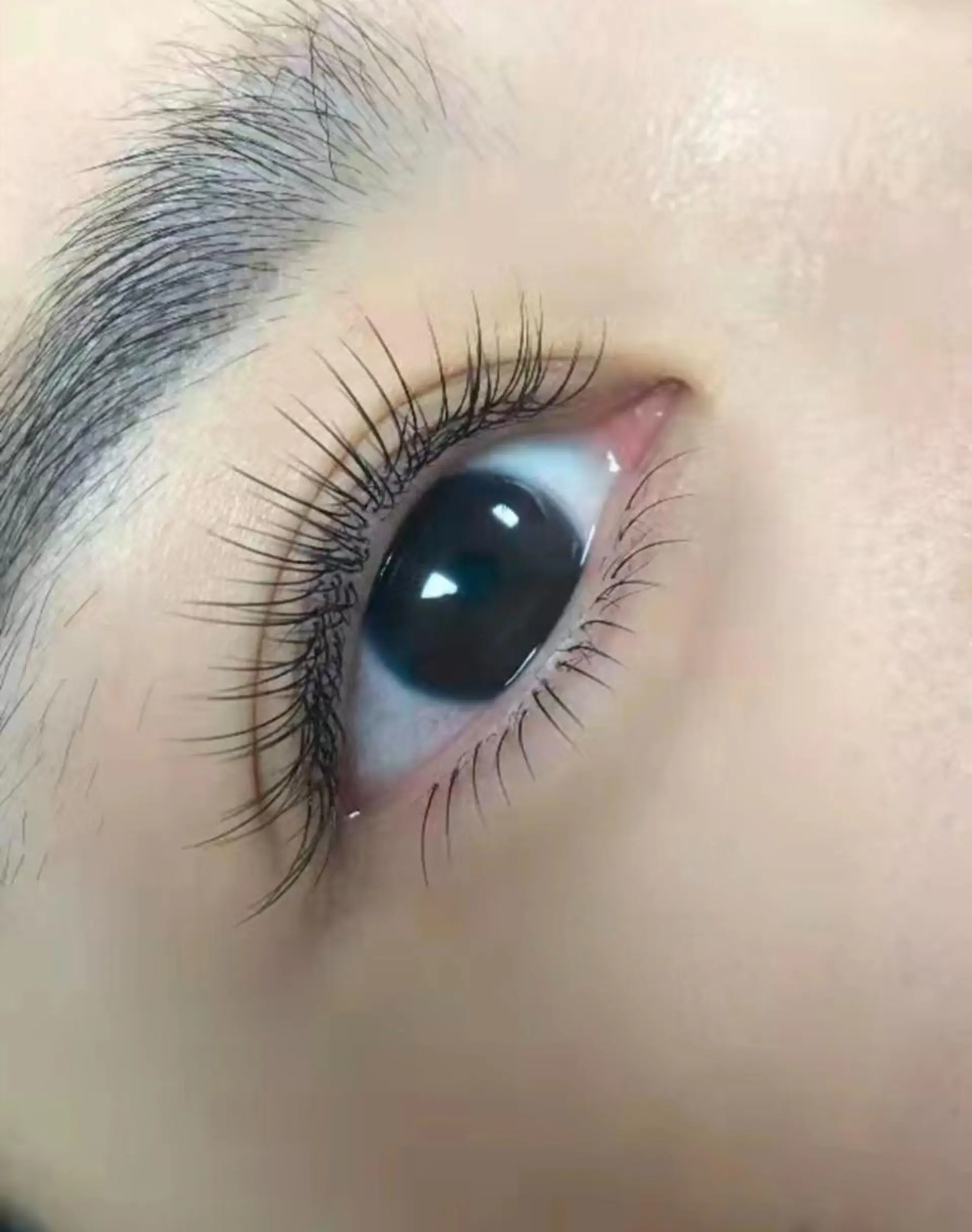 マツエク・マツパ Hera …のマツエク・マツパデザイン