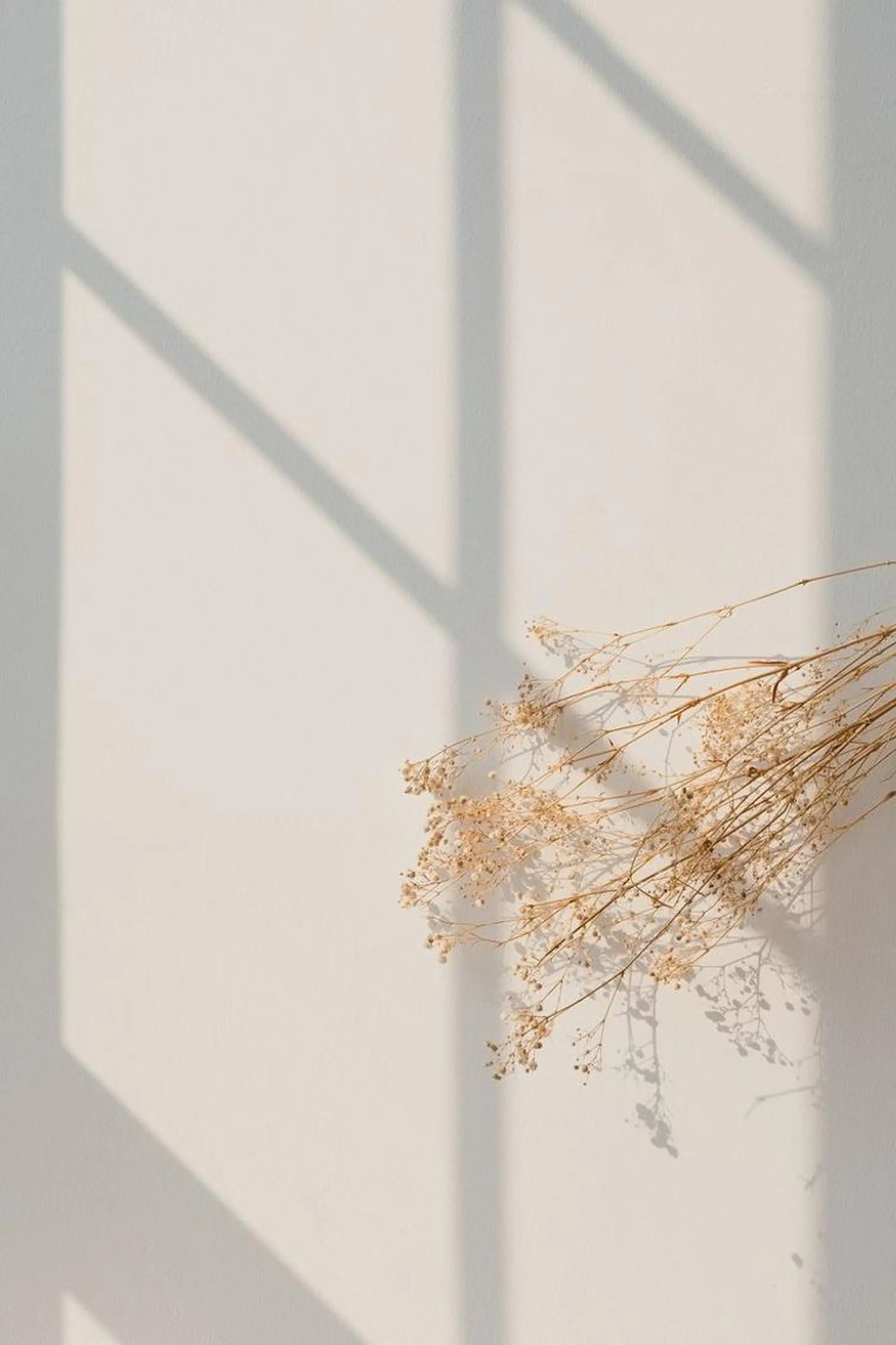 マツエク・マツパ プラスアイ　横浜西口店所属・プラスアイ横浜店 ☺︎のマツエク・マツパデザイン