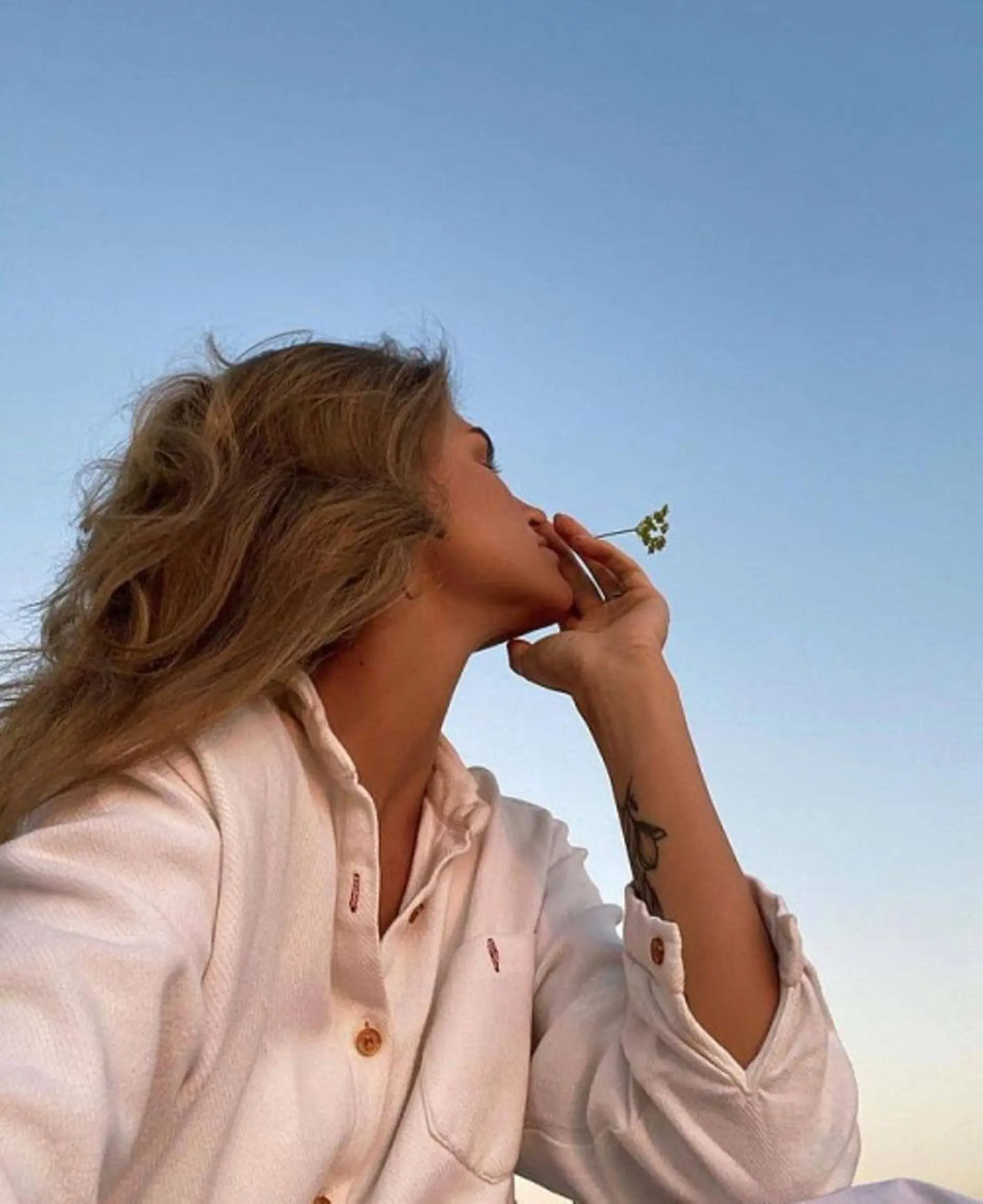 カワイイ保証🤍🪄 Mihoshiの眉毛・アイブロウイメージ