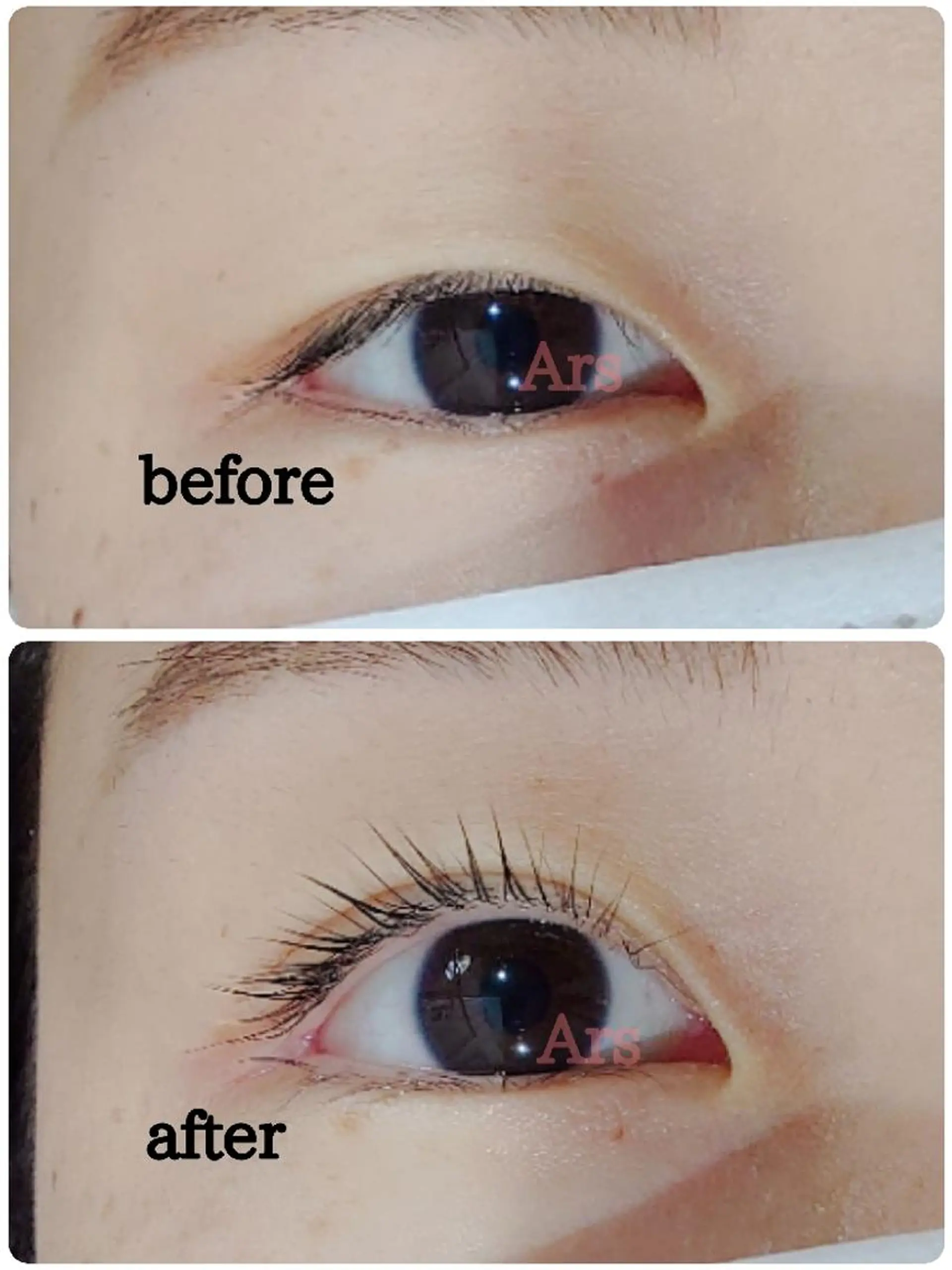 マツエク・マツパ アイリッドアップパーマ Ars  (ｱﾙｽ)所属・Ars      (ｱﾙｽ)のマツエク・マツパデザイン