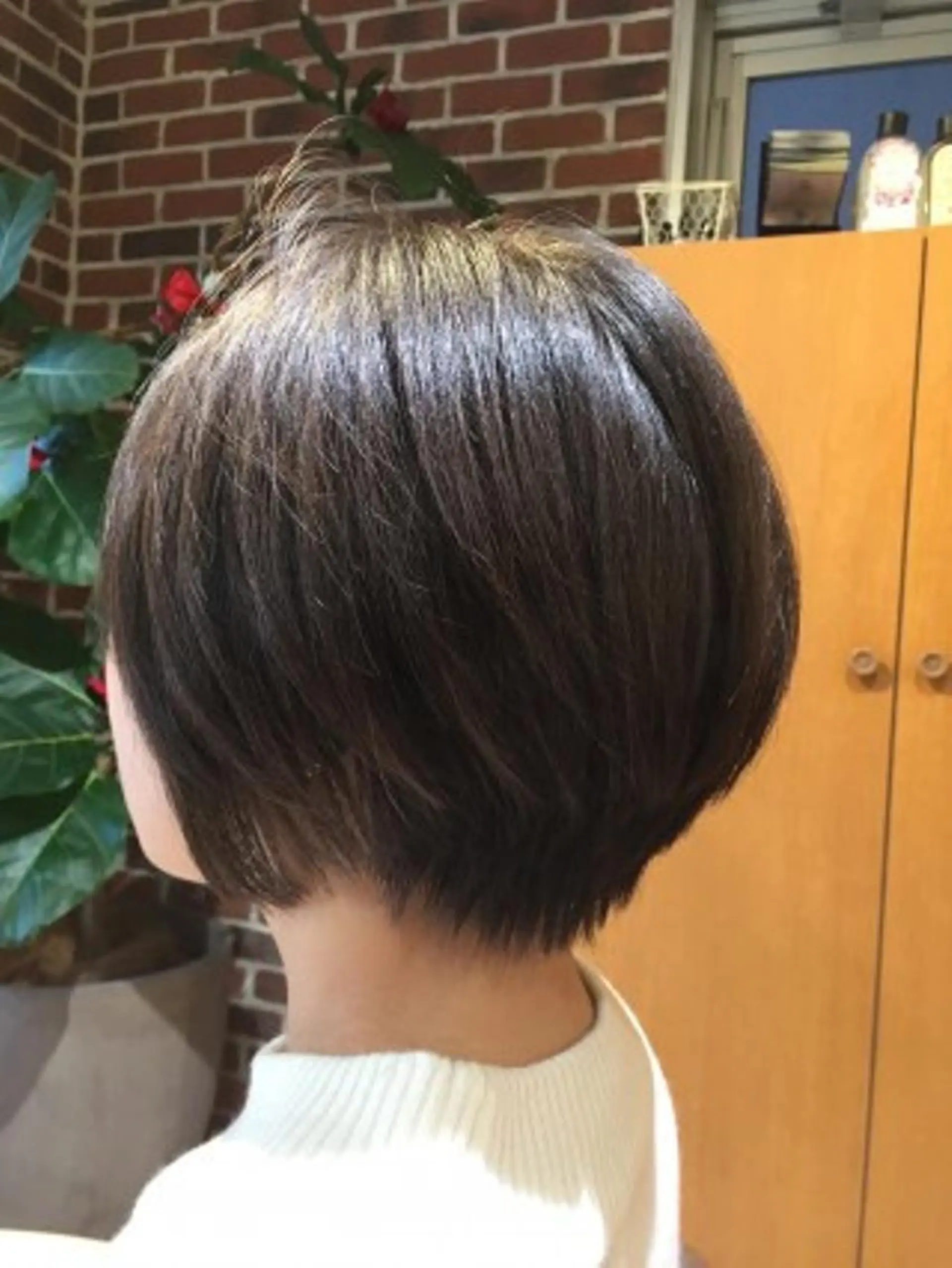 ショート 🐺ウルフ/レイヤー 似合わせ‎🤍沙羅のヘアスタイル