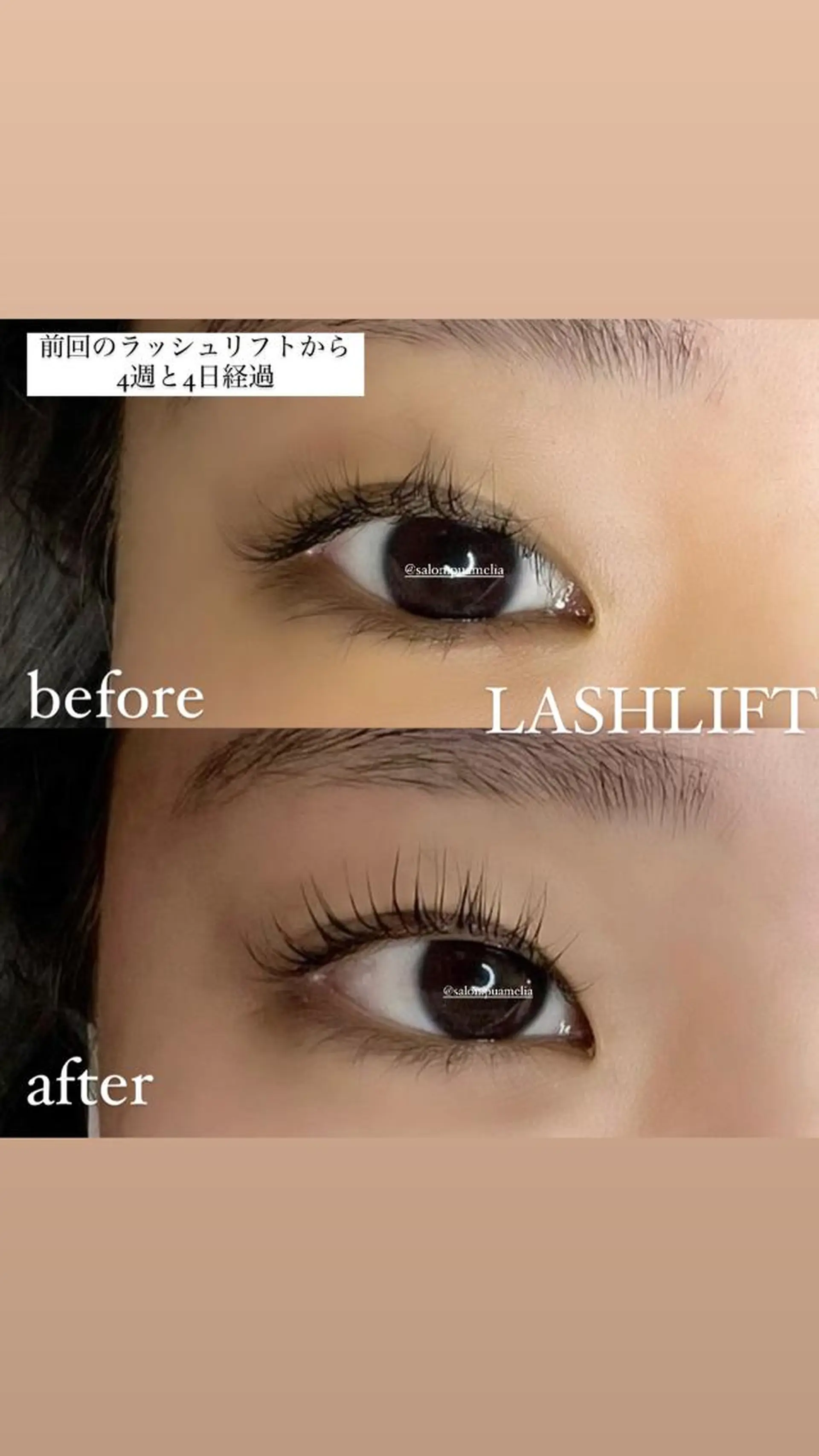 マツエク・マツパ マツパ Pua Meliaのマツエク・マツパデザイン