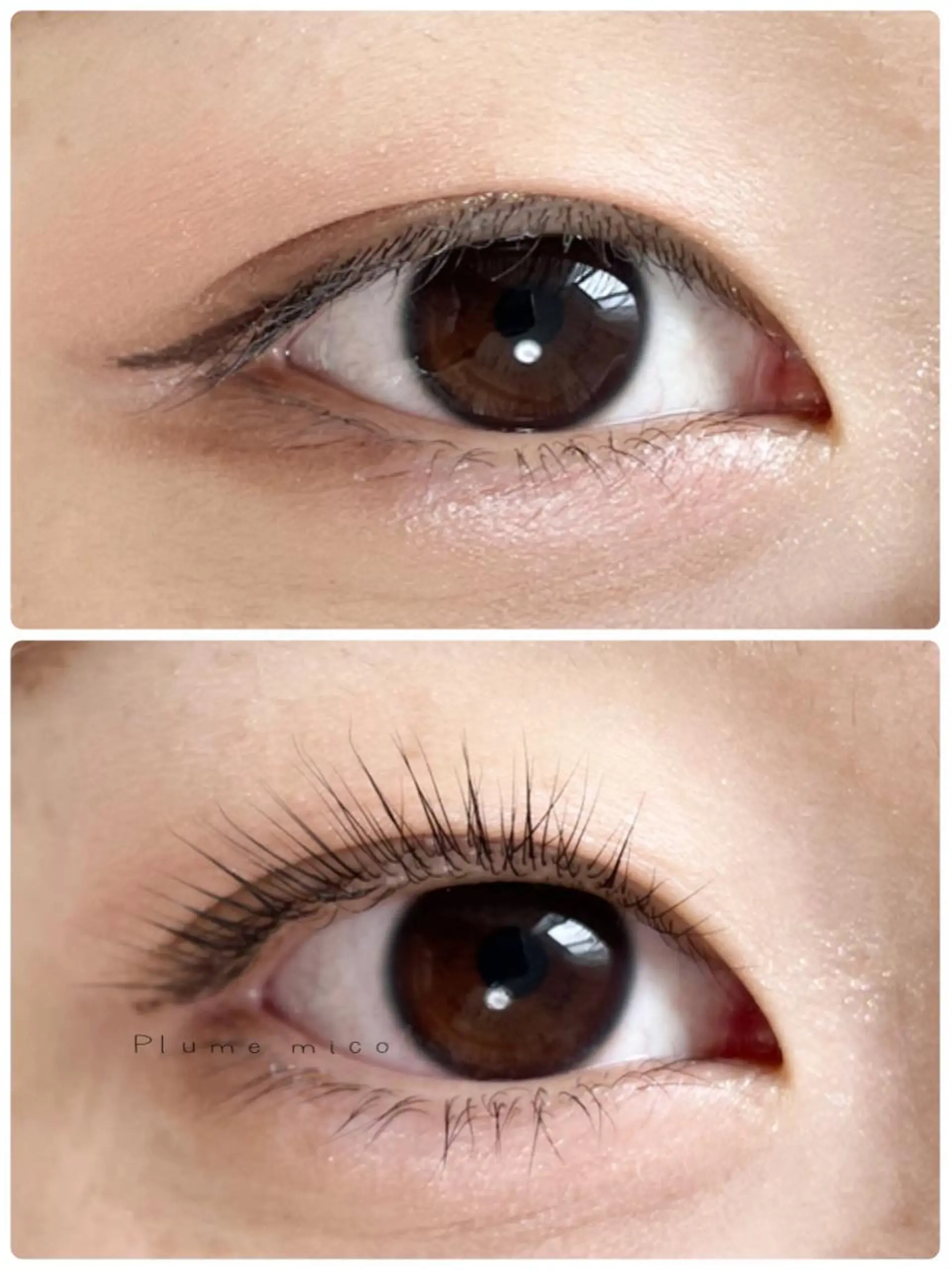 マツエク・マツパ まつげパーマ 下まつげエクステ マツパ Plume micoのマツエク・マツパデザイン