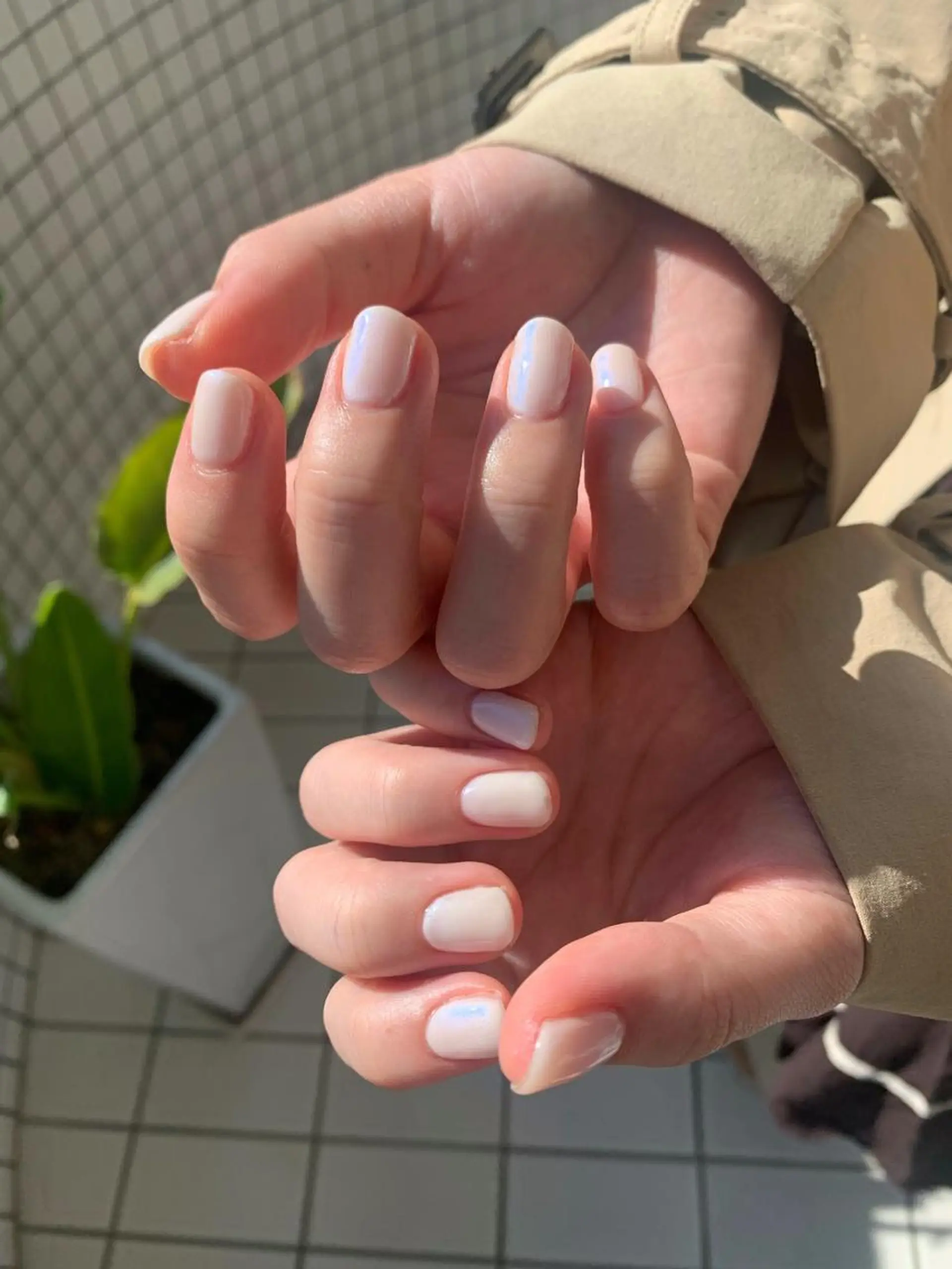 ネイル ホワイト ハンドネイル N.barber / koderaのネイルデザイン