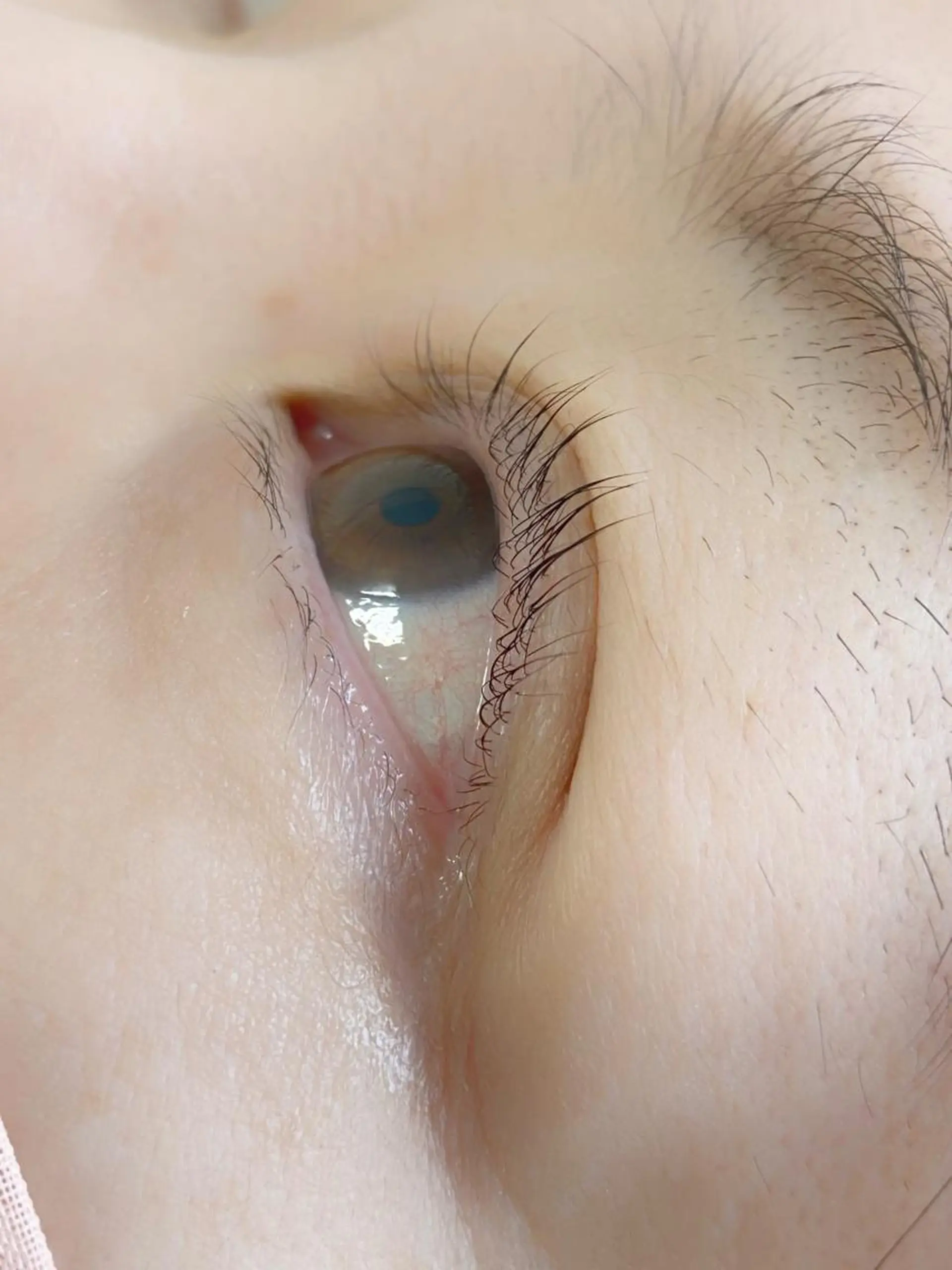 マツエク・マツパ eam（イーム）所属・katano harunaのマツエク・マツパデザイン