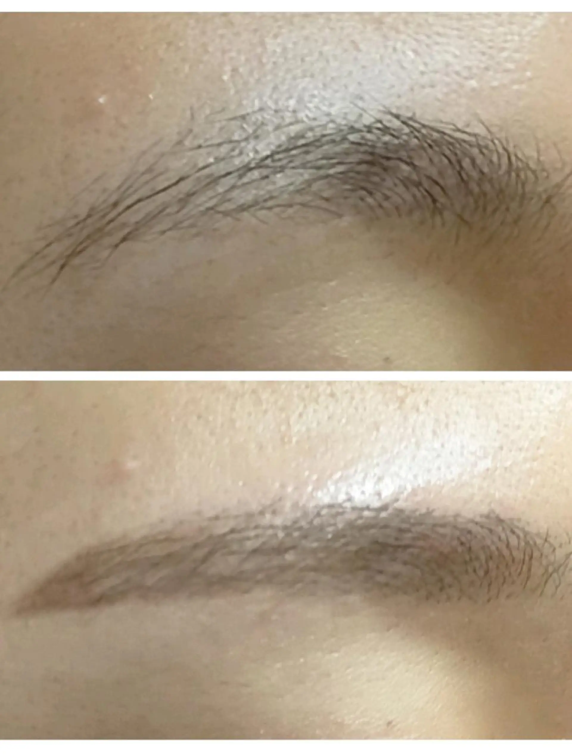 アイブロウ プラスファイン所属・内藤 咲の眉毛・アイブロウイメージ