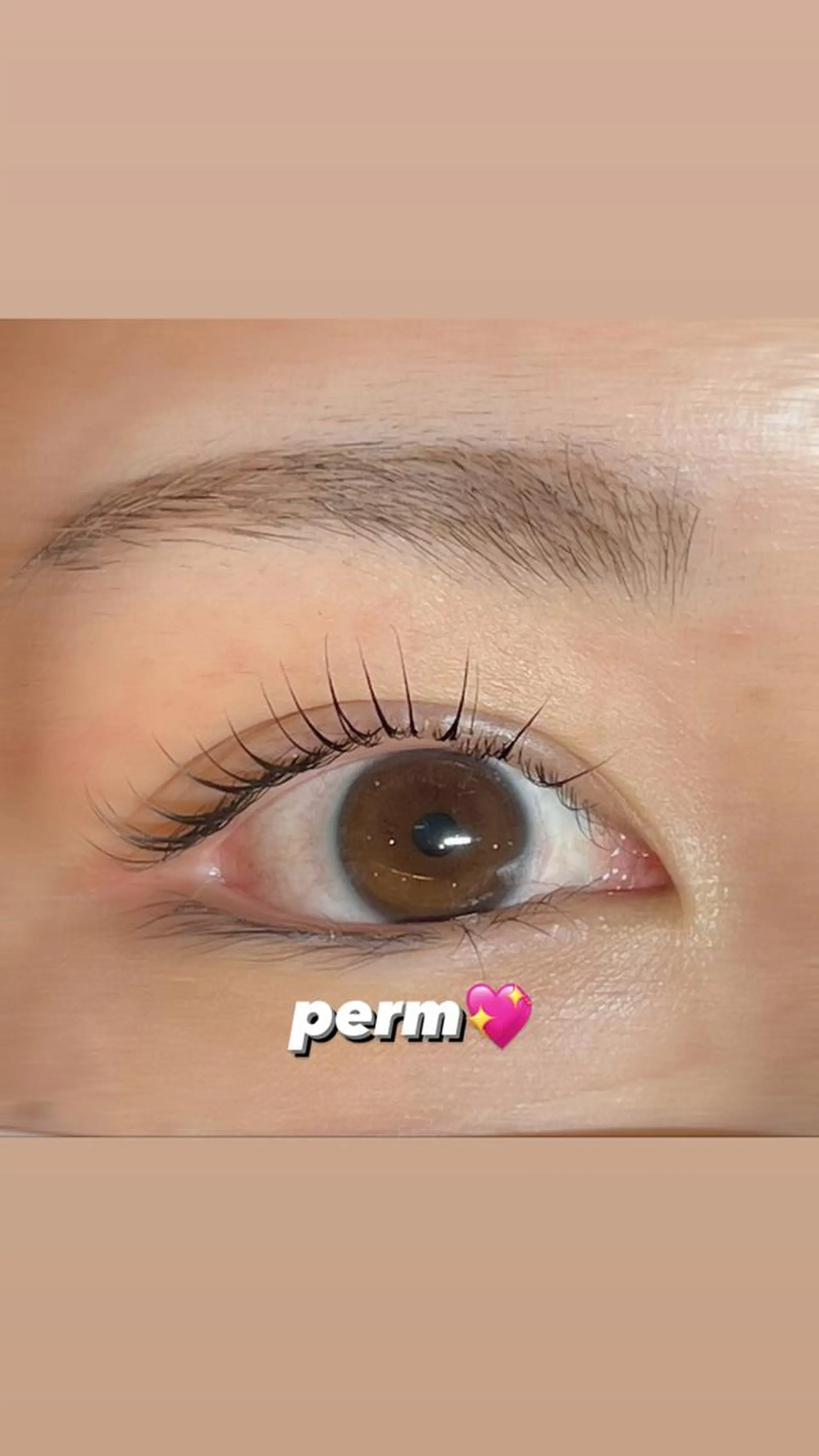 マツエク・マツパ マツパ GO TODAY シェアサロン 銀座Eclara店所属・mihiro 銀座まつぱﾏﾂｴｸ眉のマツエク・マツパデザイン